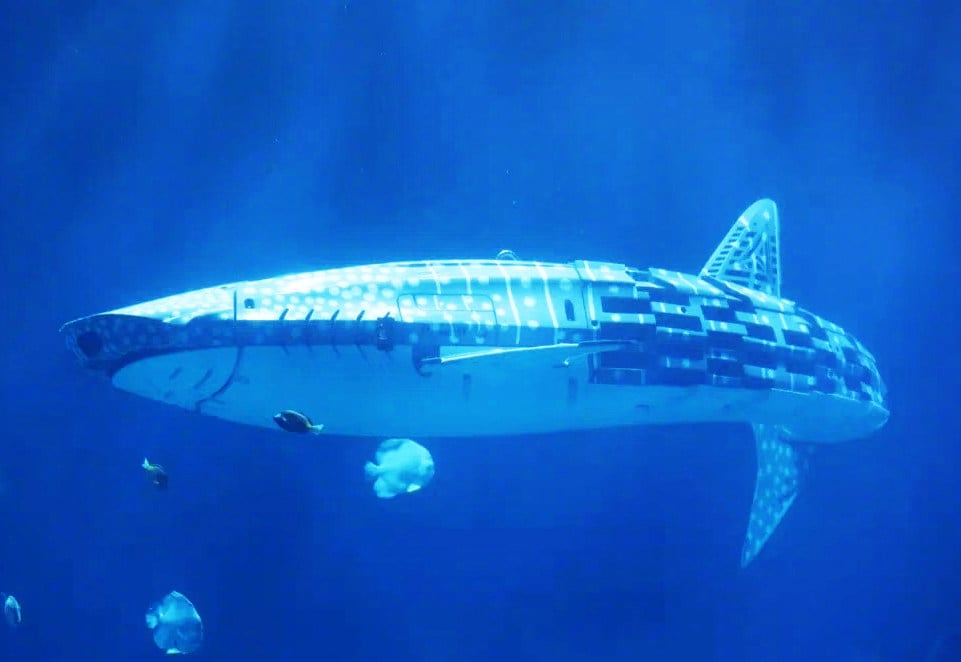 An aquarium in China has debuted a robotic whale shark, igniting debate on animal welfare and innovation. Photo: Weibo