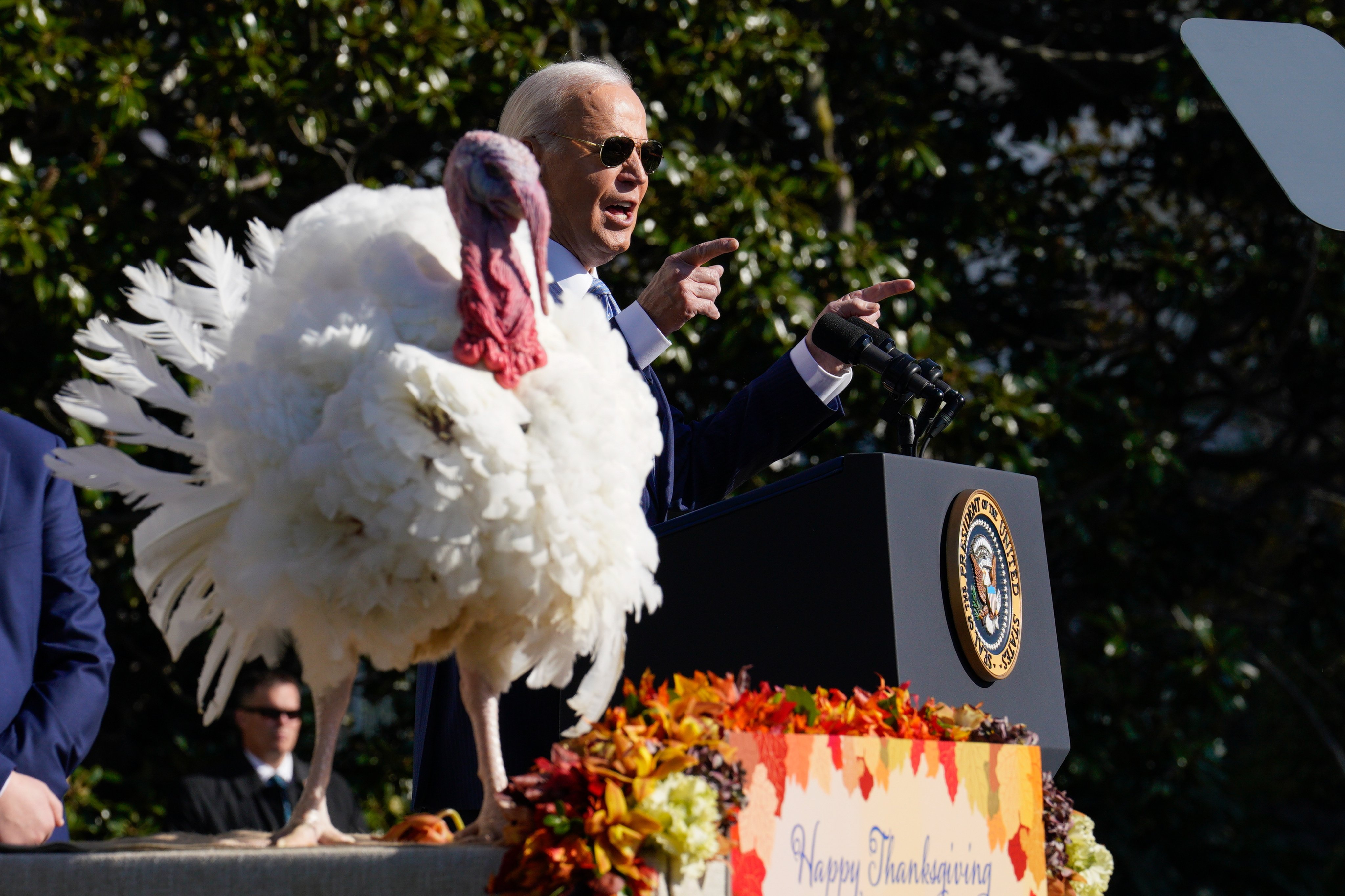 US President Joe Biden, and one of the two National Thanksgiving turkeys. Photo: EPA-EFE