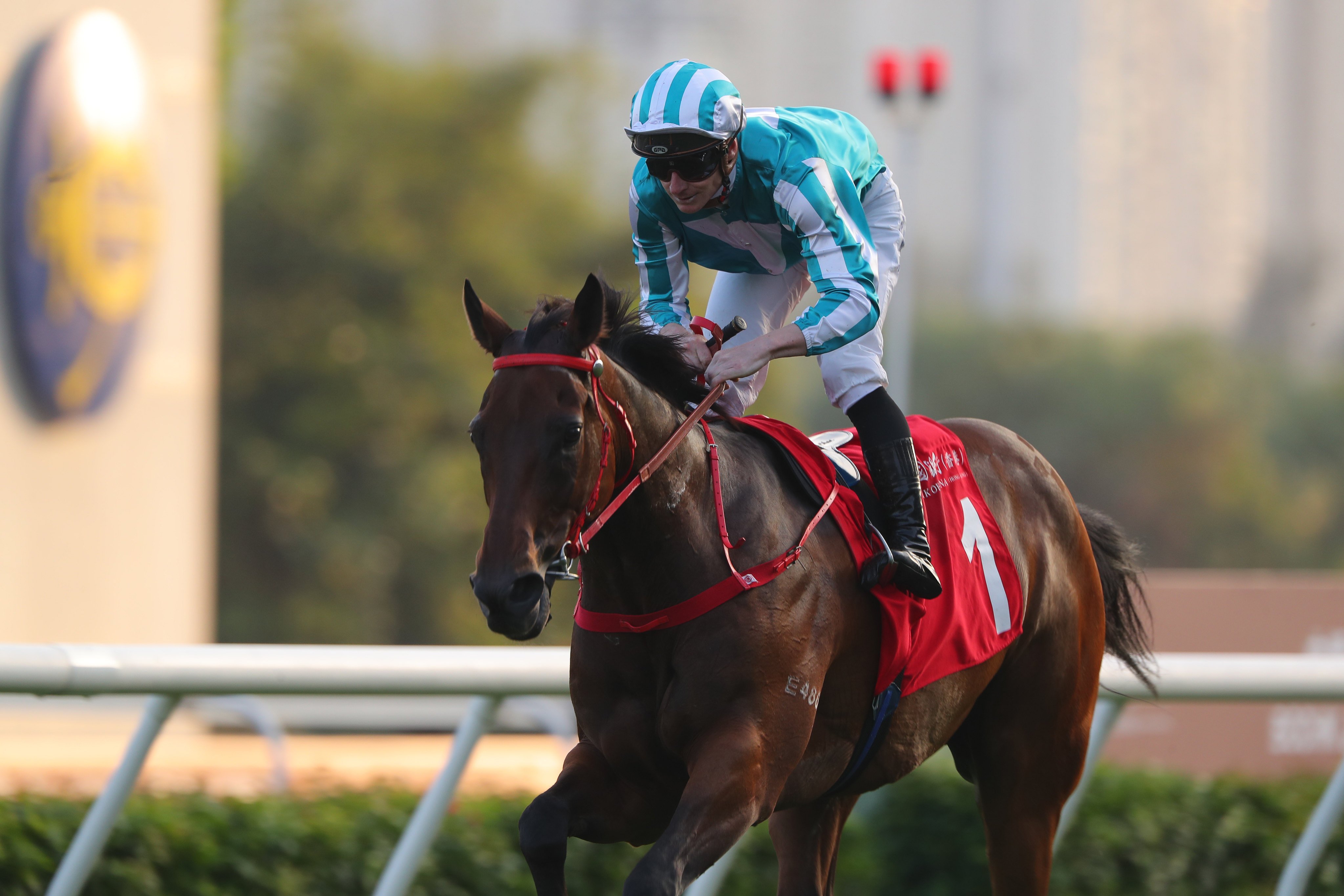 Romantic Warrior has been entered for the Group One Al Maktoum Challenge in Dubai on January 24. Photo: Kenneth Chan