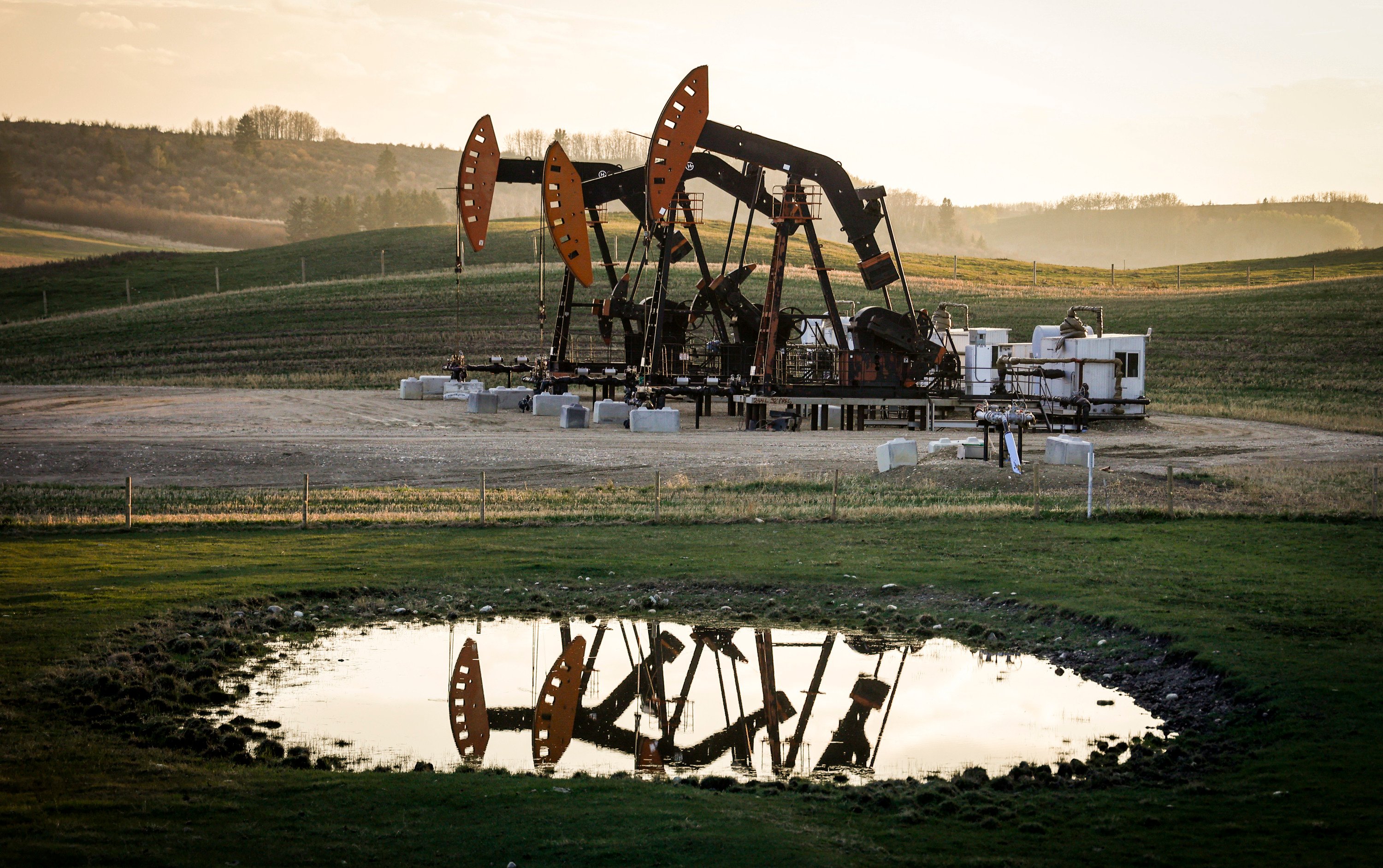 Pumpjacks draw out oil and gas from well heads in Alberta, Canada. Photo: AP