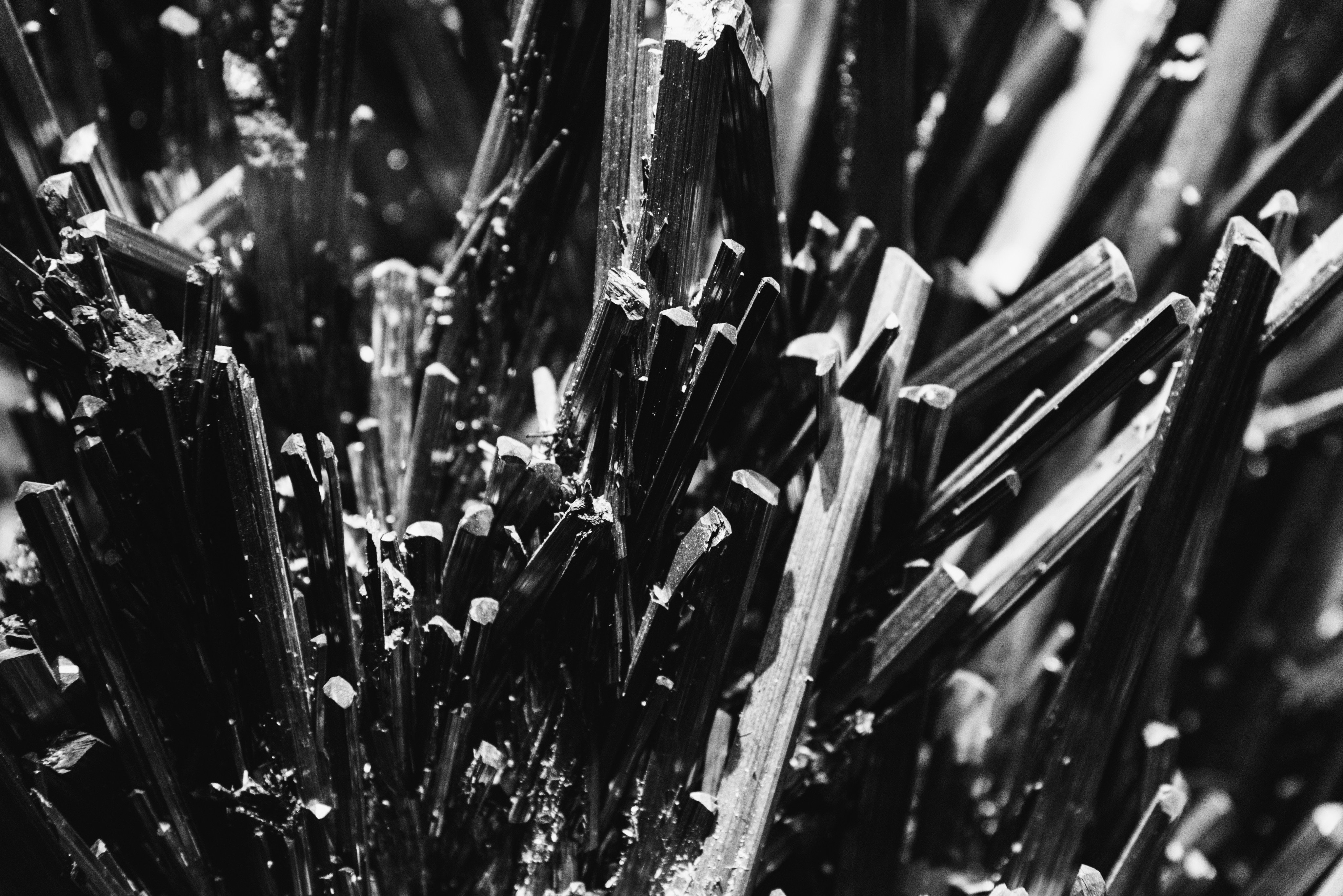 Close-up of rods of graphite, a key material for the production of electric vehicle batteries. Photo: Shutterstock 