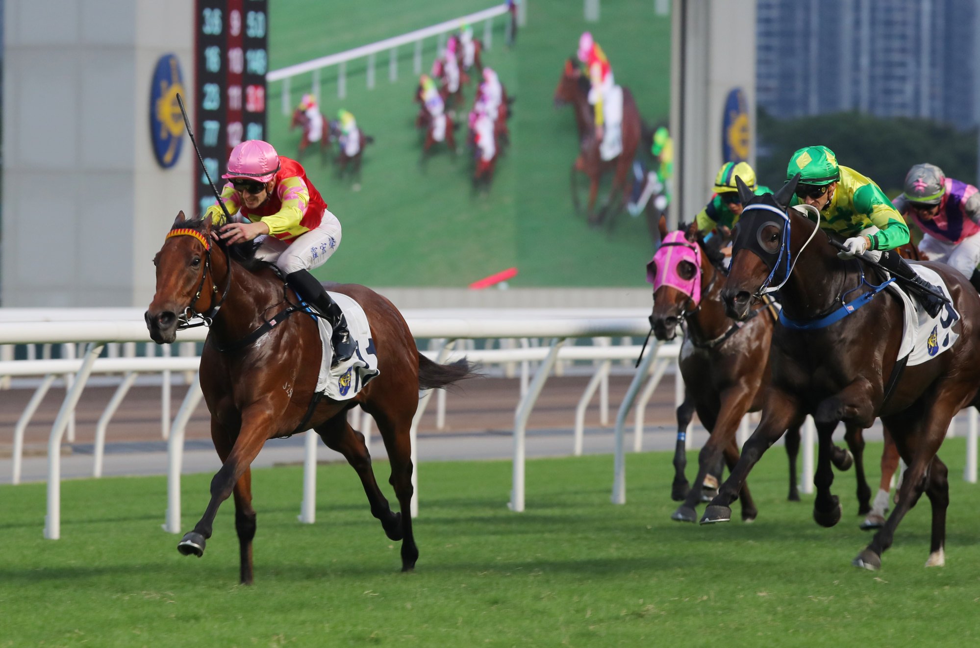 My Wish edges clear of his rivals to score at Sha Tin on November 3.