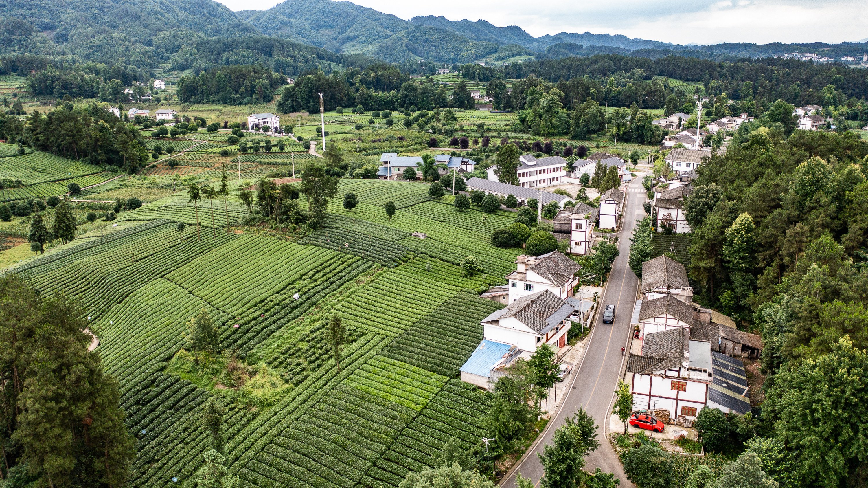 Rural cadres are struggling under a mountain of paperwork, targets and complaints, according to a Chinese researcher. Photo: Xinhua