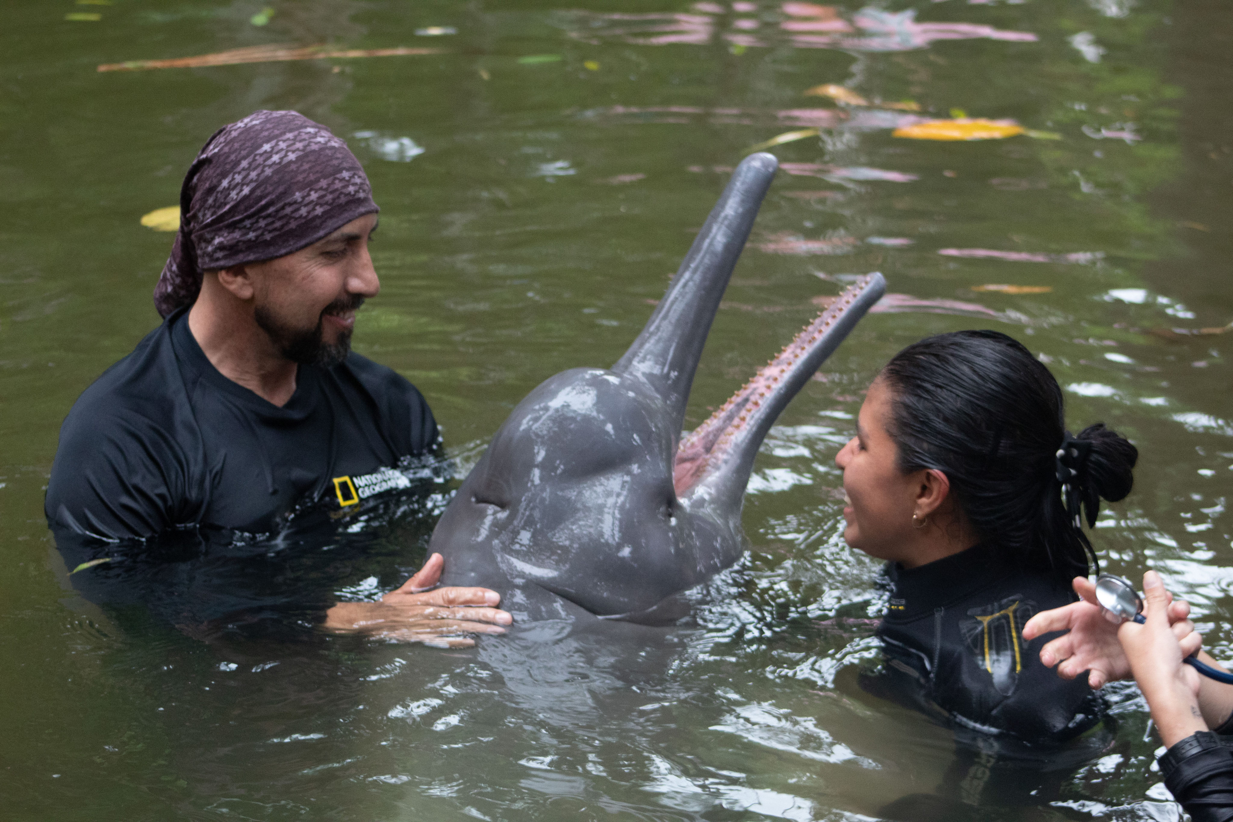 Marine biologist Fernando Trujillo was named the 2024 Rolex National Geographic Explorer of the Year in recognition of his life’s work protecting the dolphins of the Amazon River.