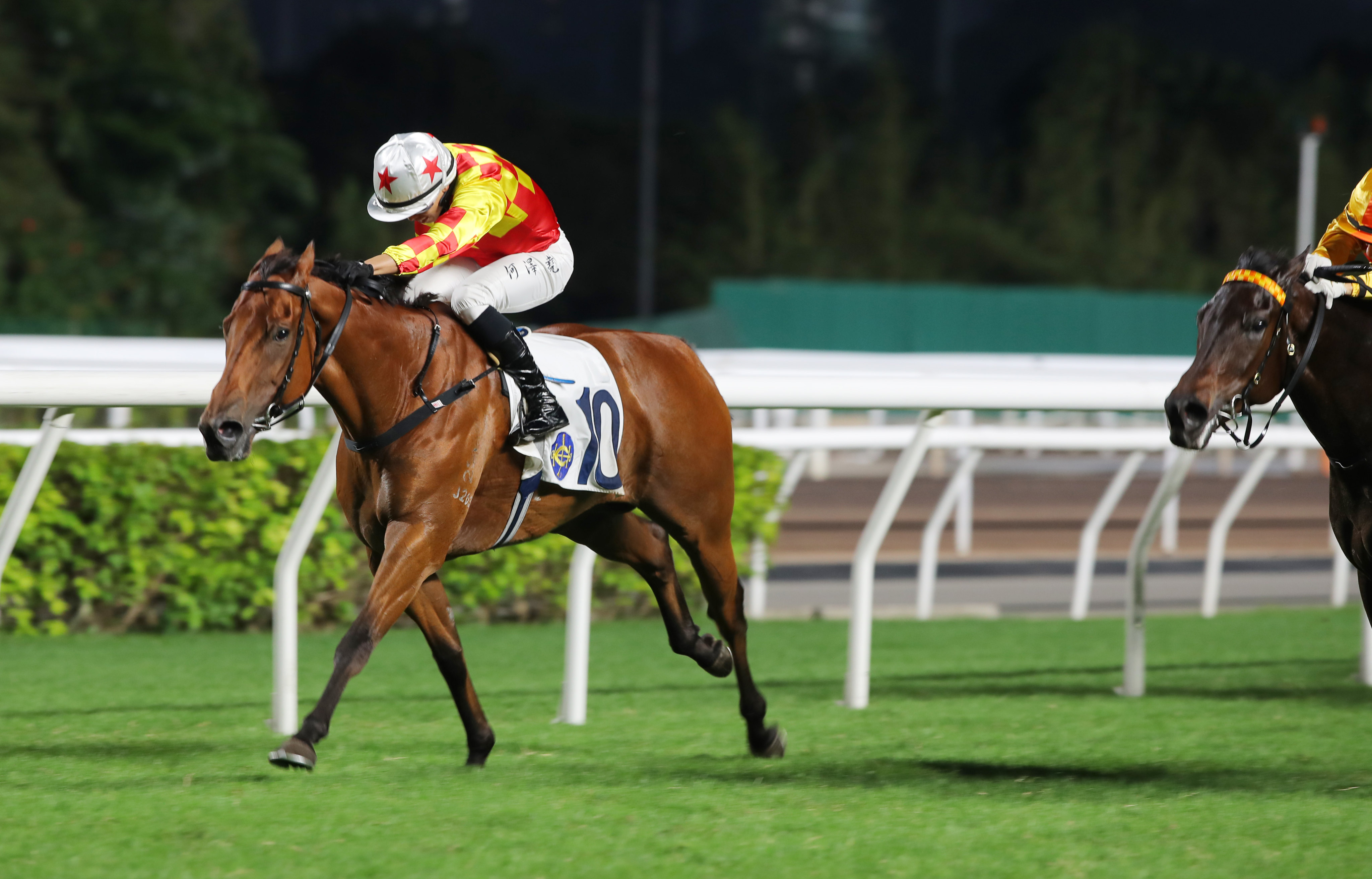 Steps Ahead chases a third straight win at Sha Tin on Sunday. Photos: Kenneth Chan