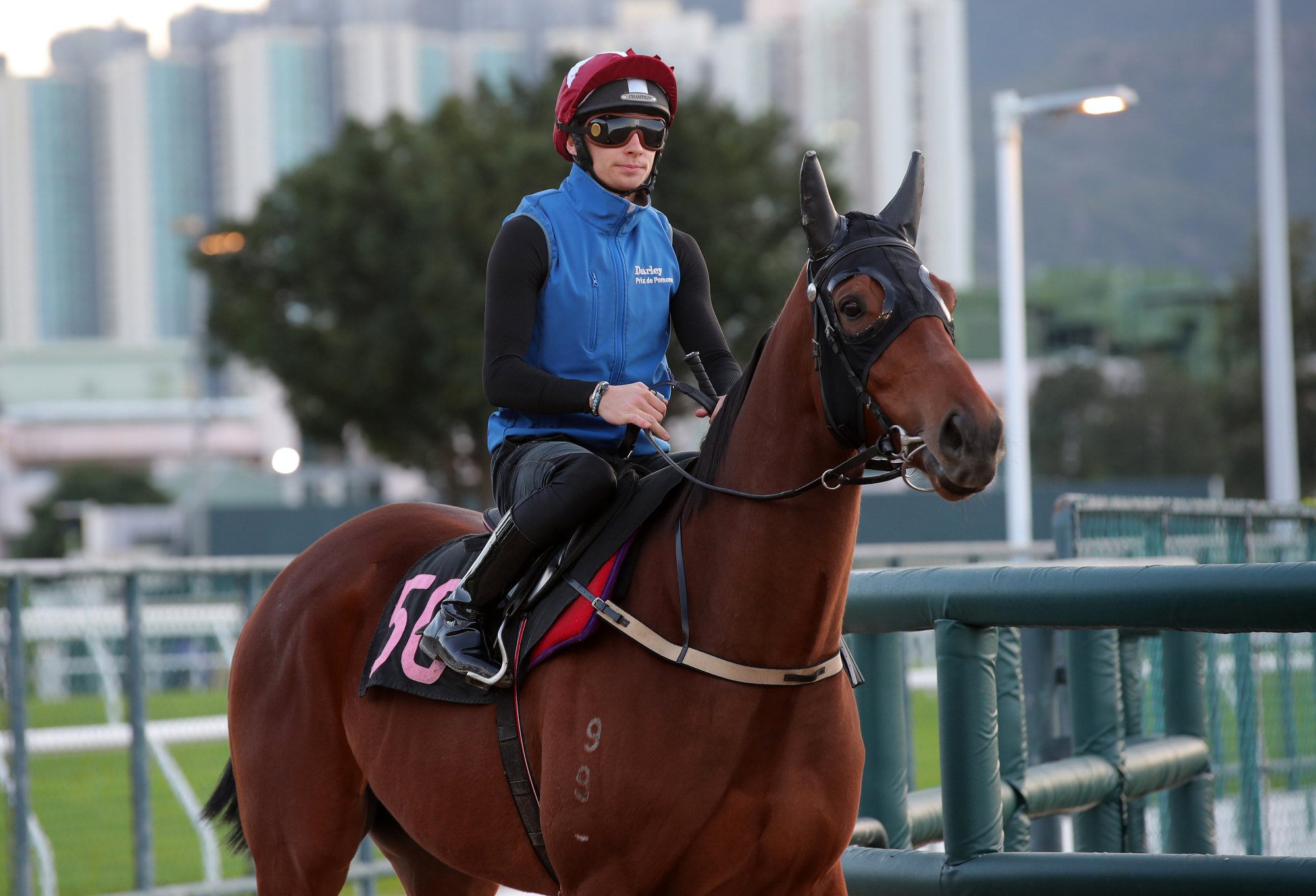 Alexis Pouchin on Awesome Fluke at Sha Tin trackwork.