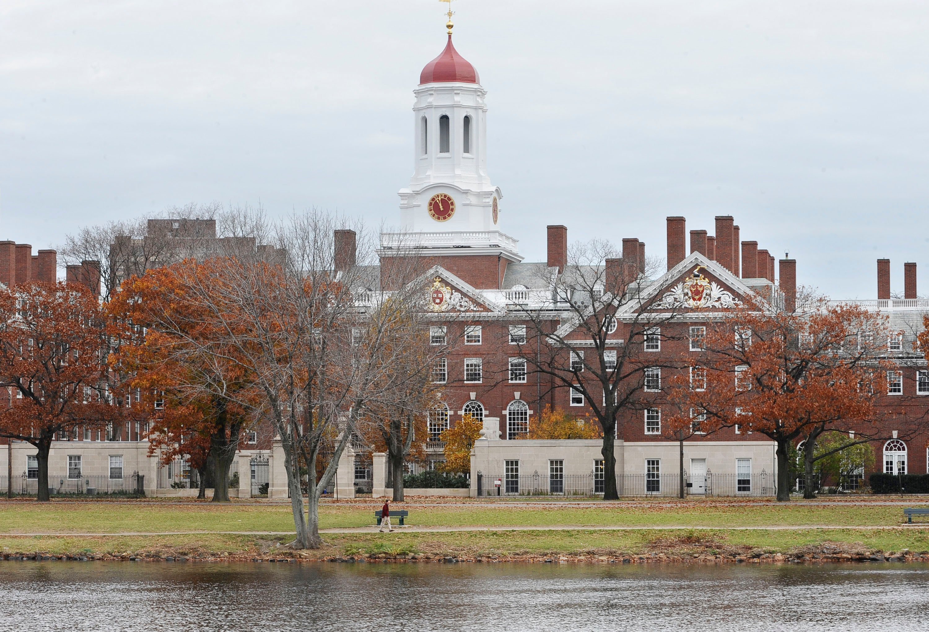 The Harvard University campus in Cambridge, Massachusetts. Photo: AP