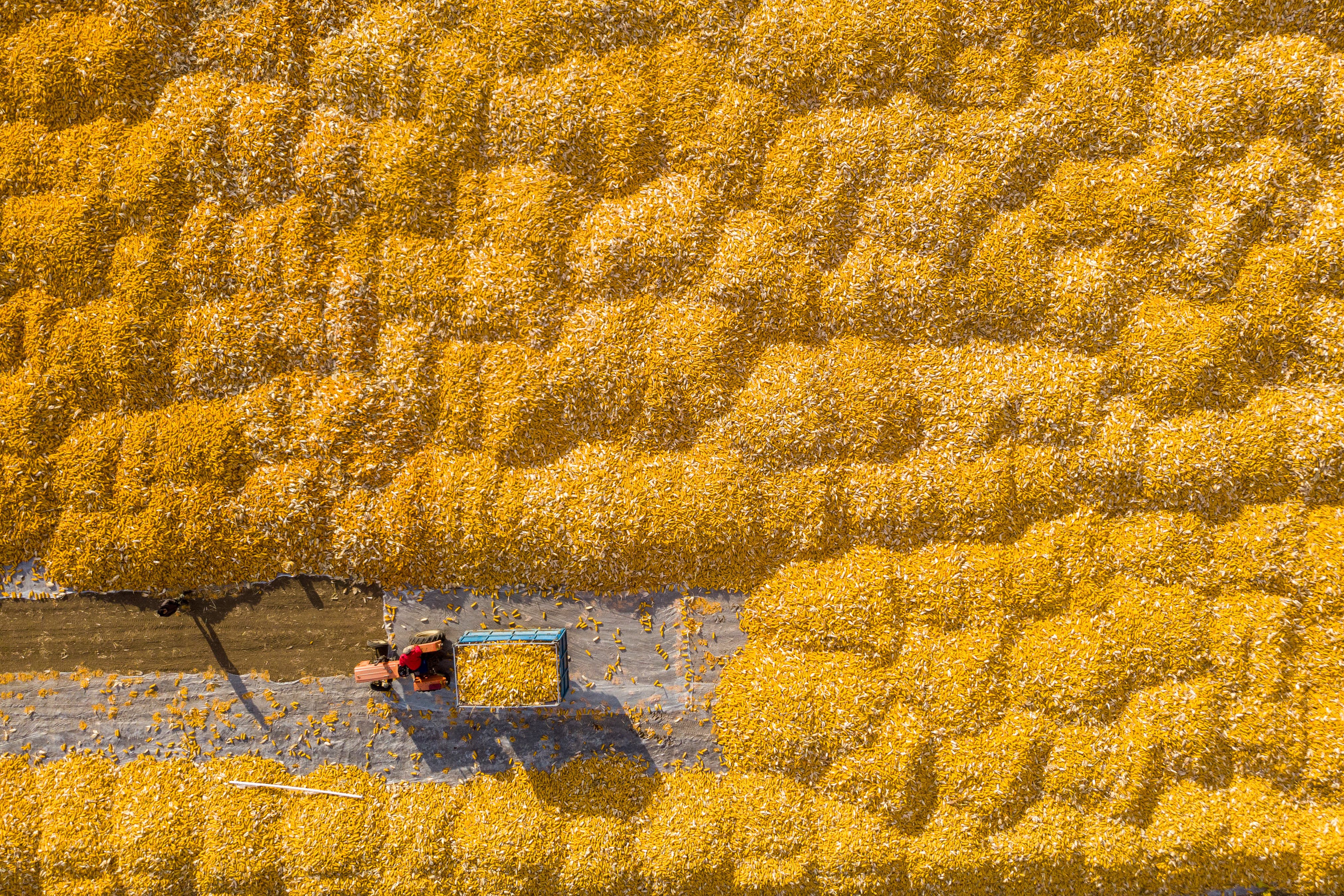 China is cracking down on food waste. Photo: Xinhua