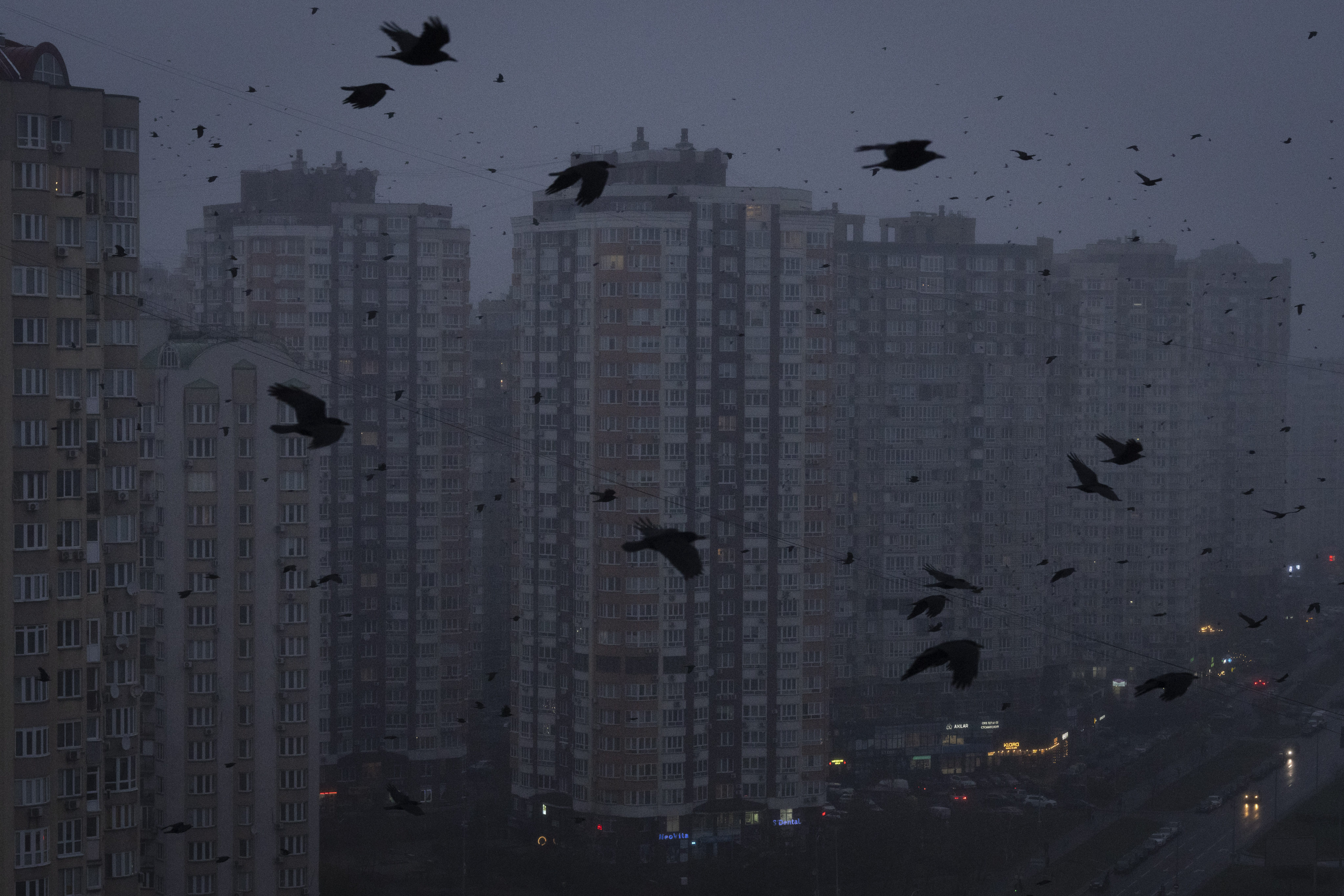 Crows fly above apartment buildings during a blackout in Kyiv, Ukraine. Photo: AP