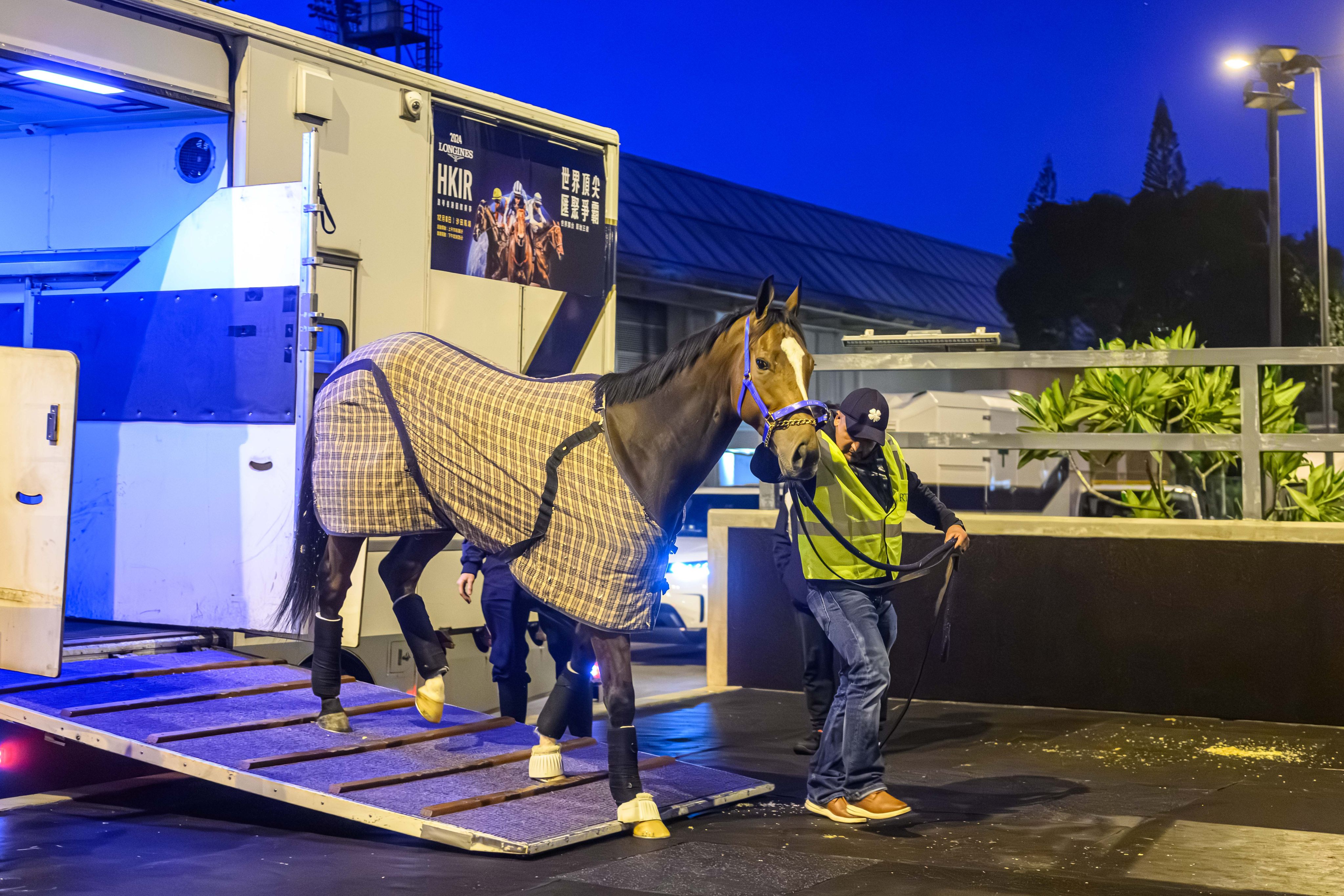 Hong Kong Sprint contender Nobals arrives at Sha Tin on Sunday morning. Photo: HKJC