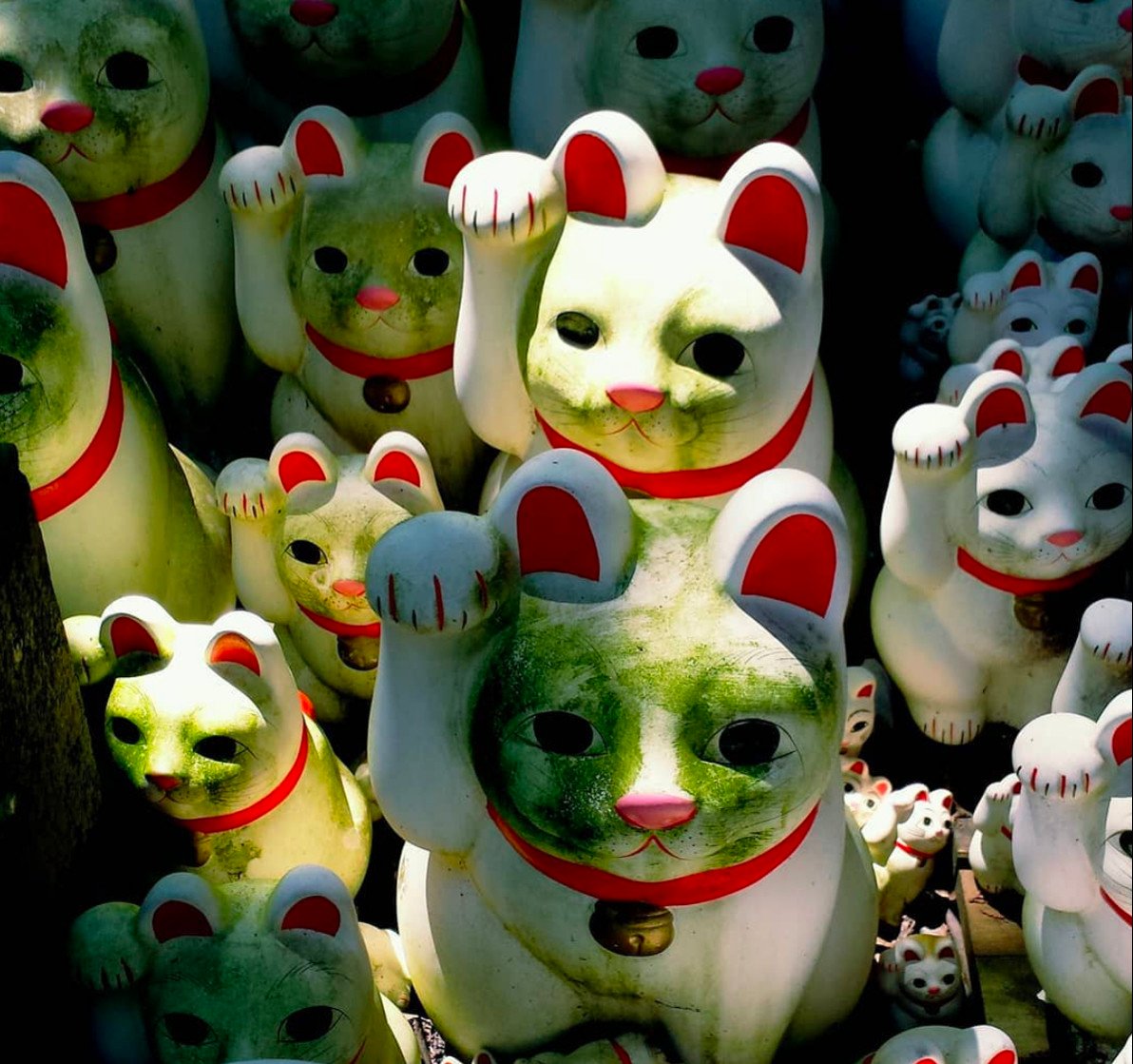 Cat figurines, called maneki neko, on display at Tokyo’s Gotokuji Temple. Photo: X