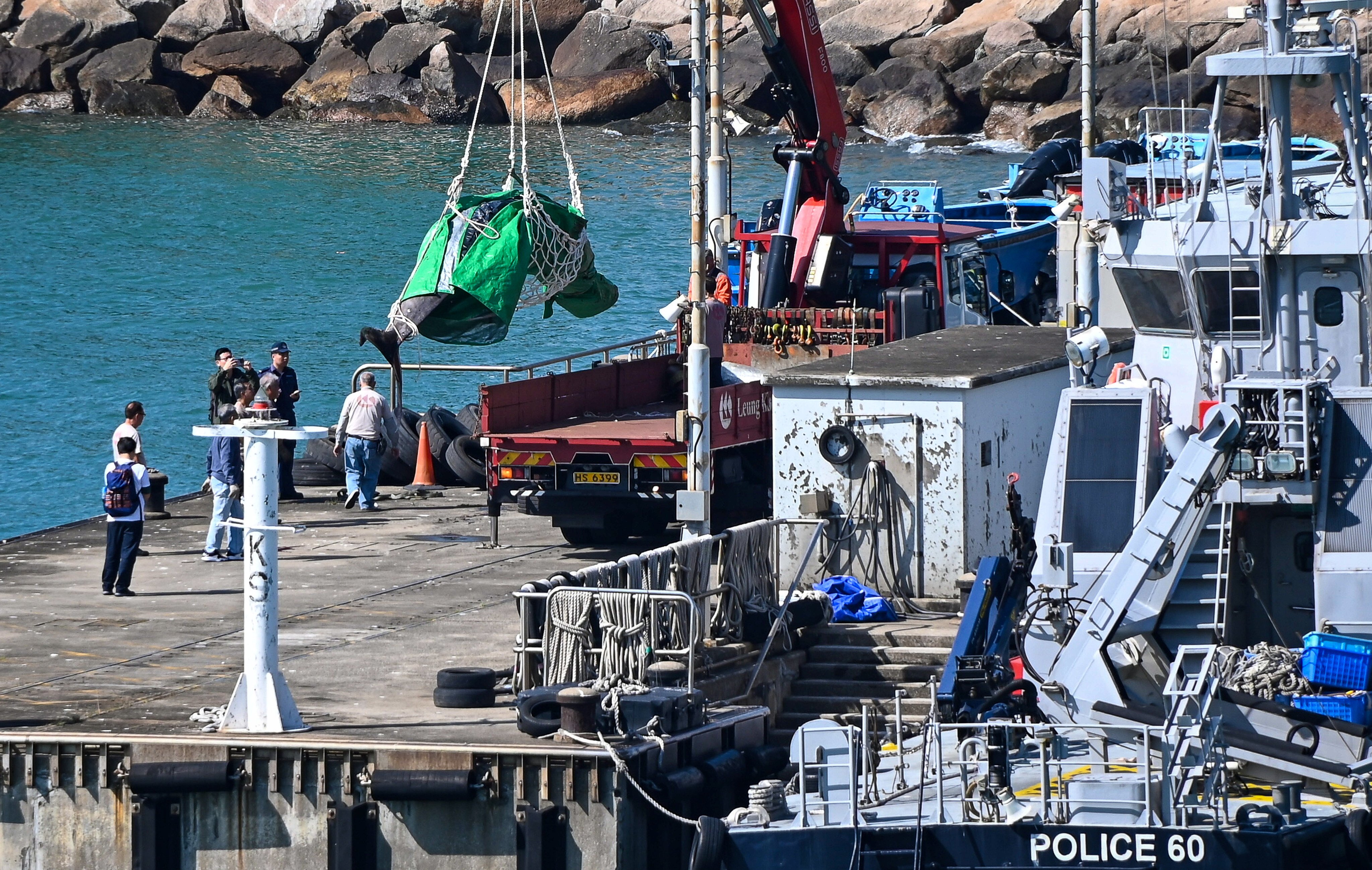 Authorities have conducted a necropsy of a whale that died on Sunday after becoming stranded in local waters. Photo: Handout 