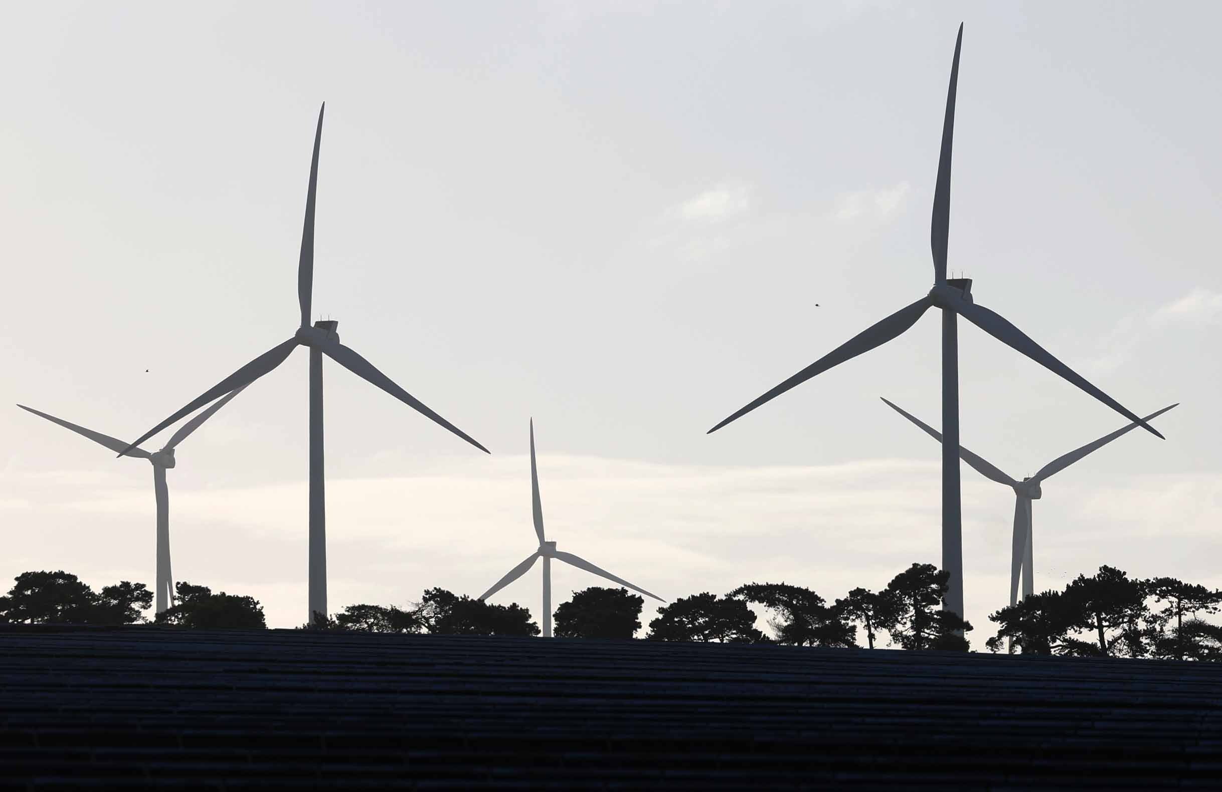 A wind farm near Great Wilbraham, Britain. Photo: EPA-EFE