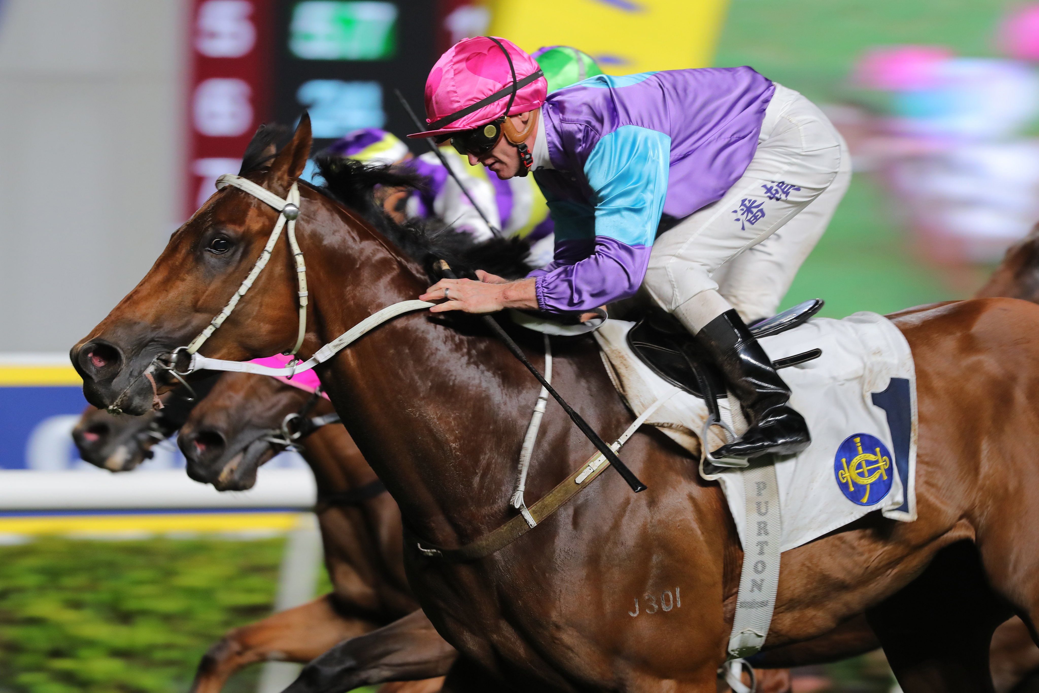 Stunning Peach heads to Happy Valley for the first time on Wednesday. Photos: Kenneth Chan