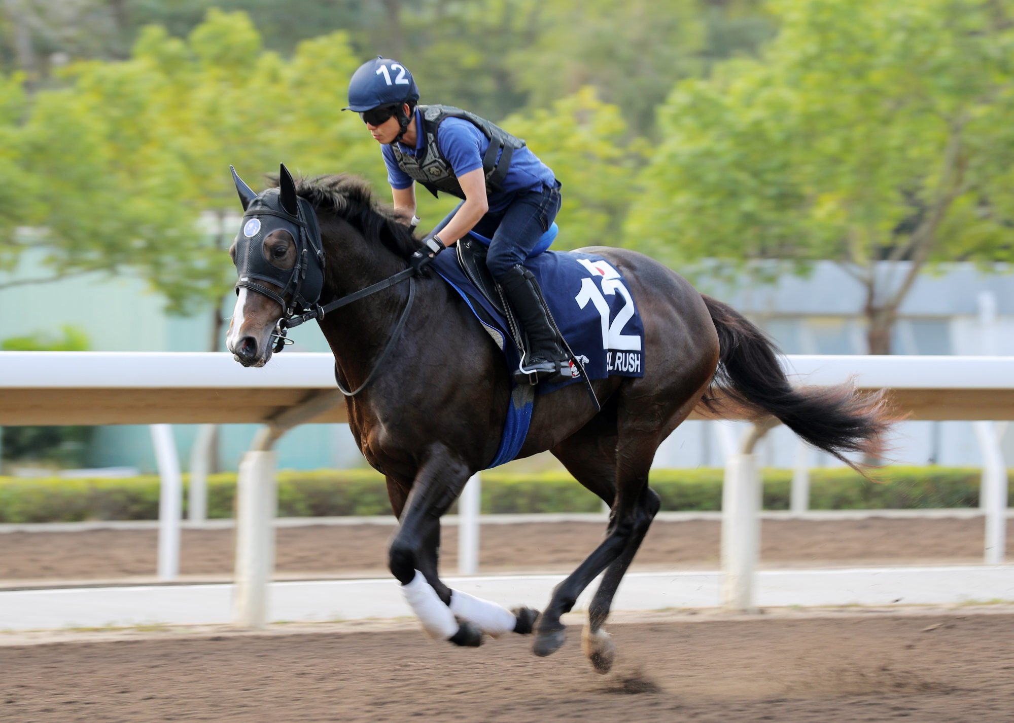 Japanese raider Soul Rush gallops at Sha Tin.