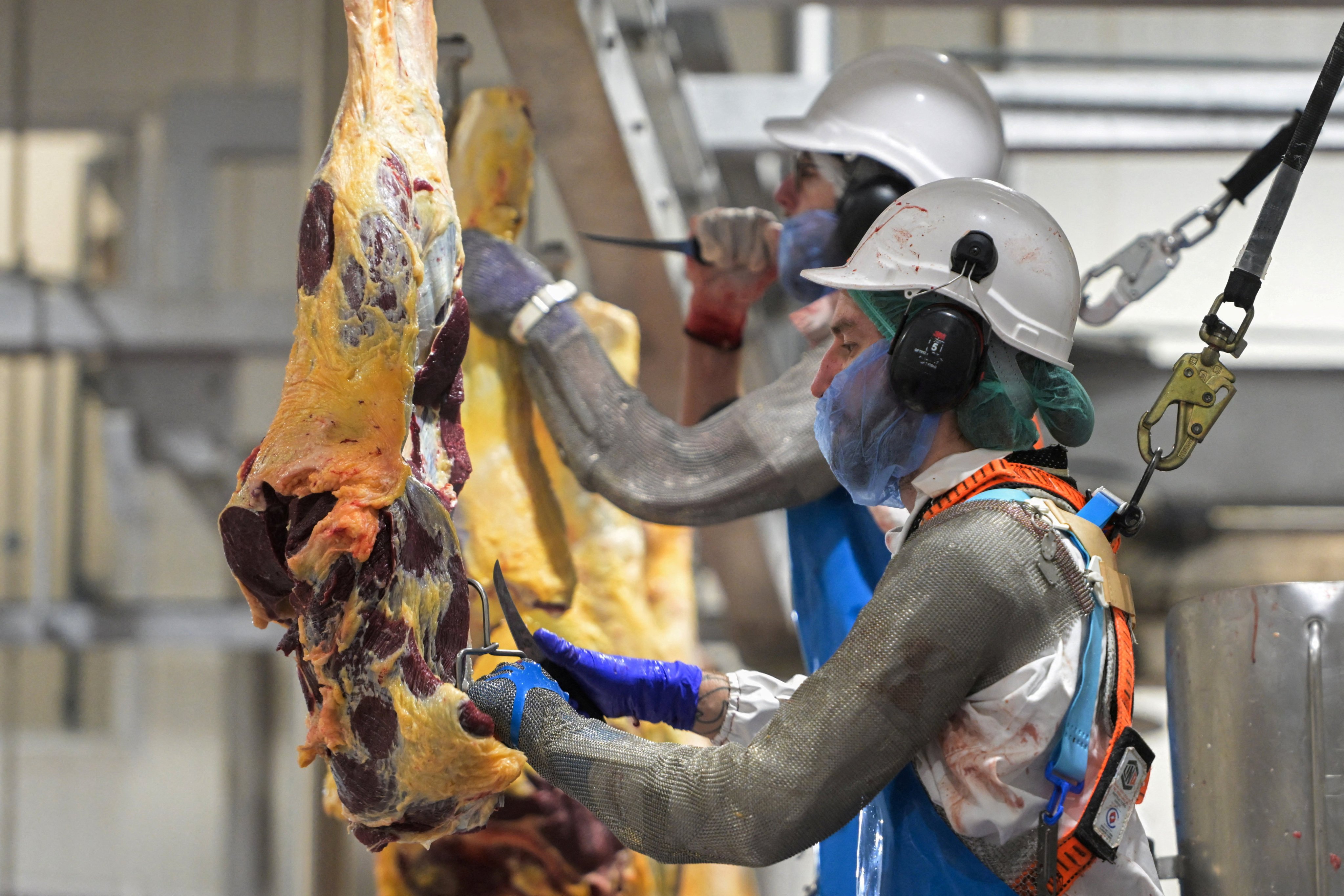 Workers process meat at an abattoir in Australia. Photo: Reuters