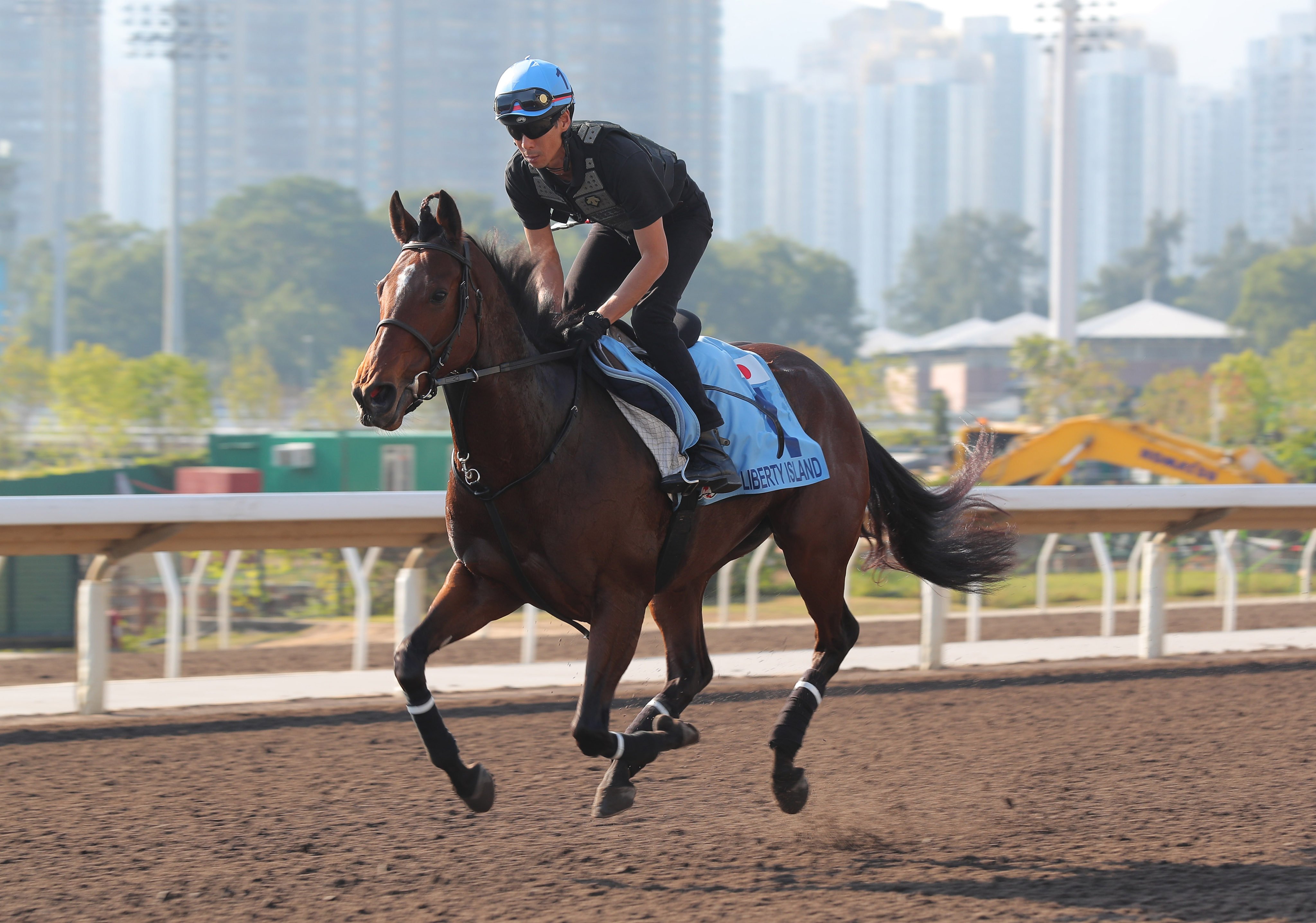 Liberty Island gallops at Sha Tin on Tuesday morning ahead of the Group One Hong Kong Cup. Photo: Kenneth Chan