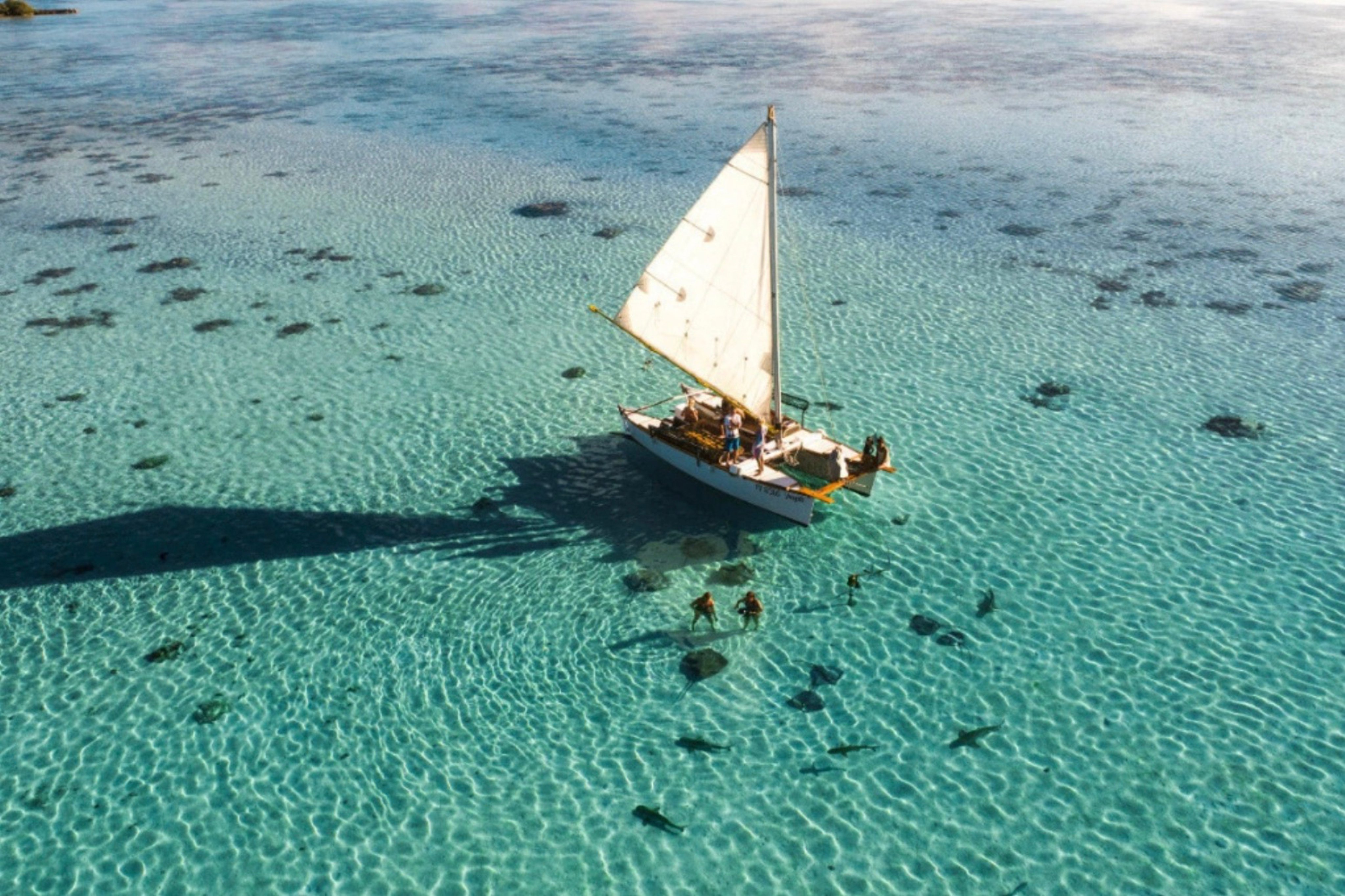 The Vaapiti, a double-hulled canoe, in French Polynesia. Photo: Vaapiti