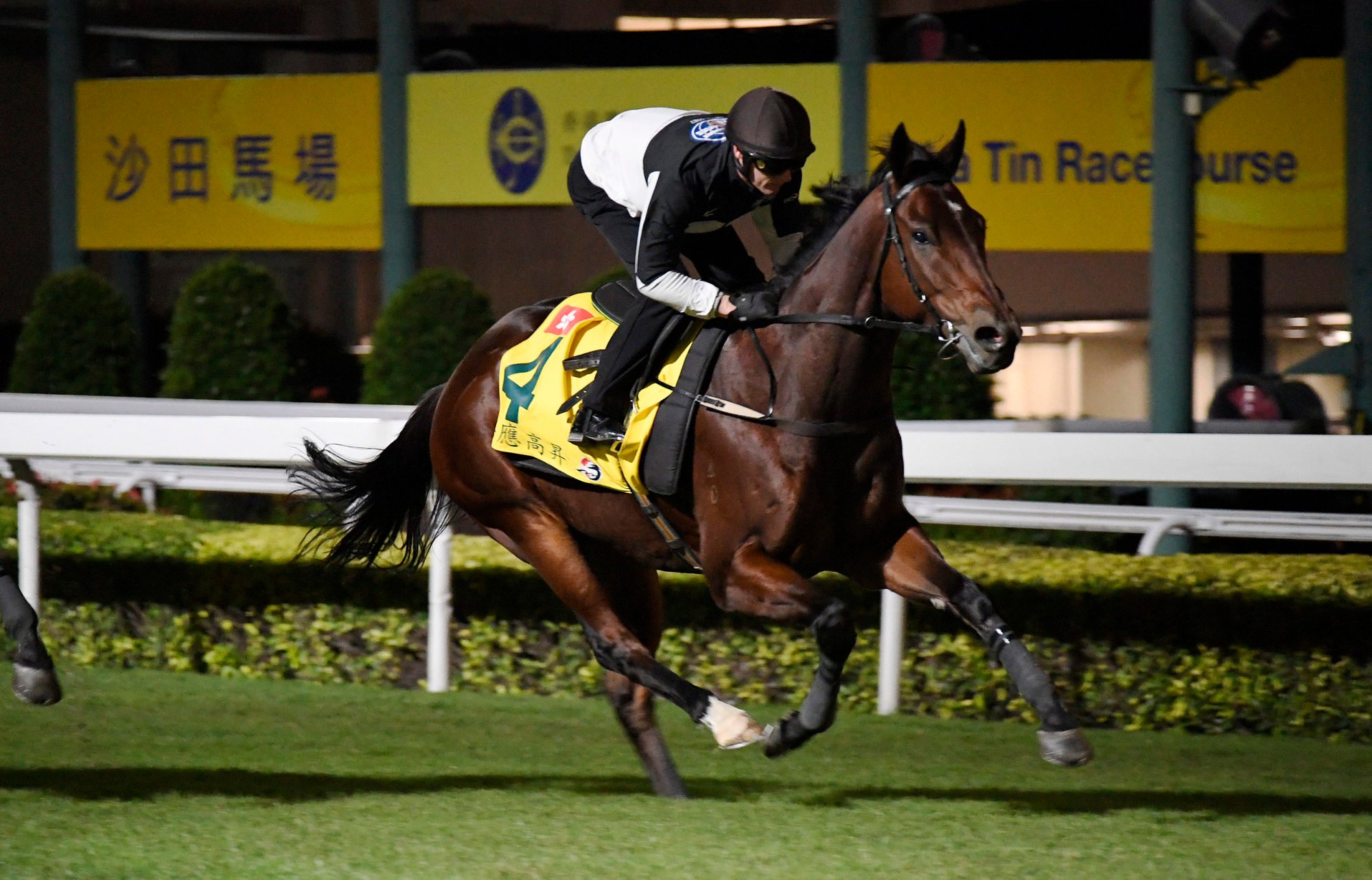 Ka Ying Rising gallops at Sha Tin under Zac Purton. Photo: Kenneth Chan