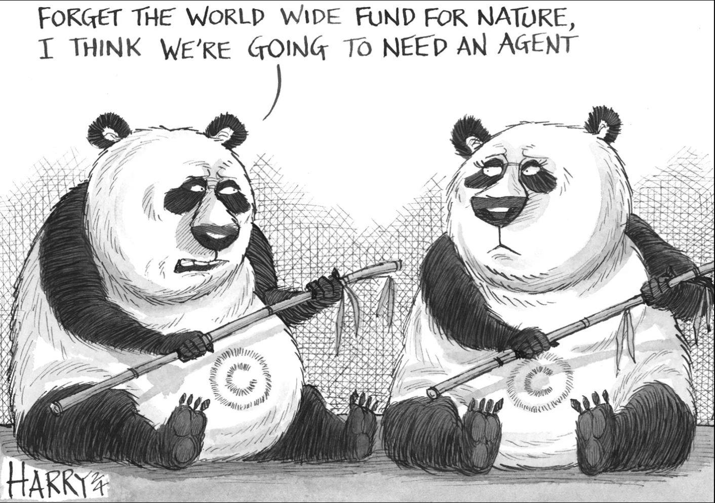 Harry Harrison’s cartoon in the South China Morning Post, December 1, 2024