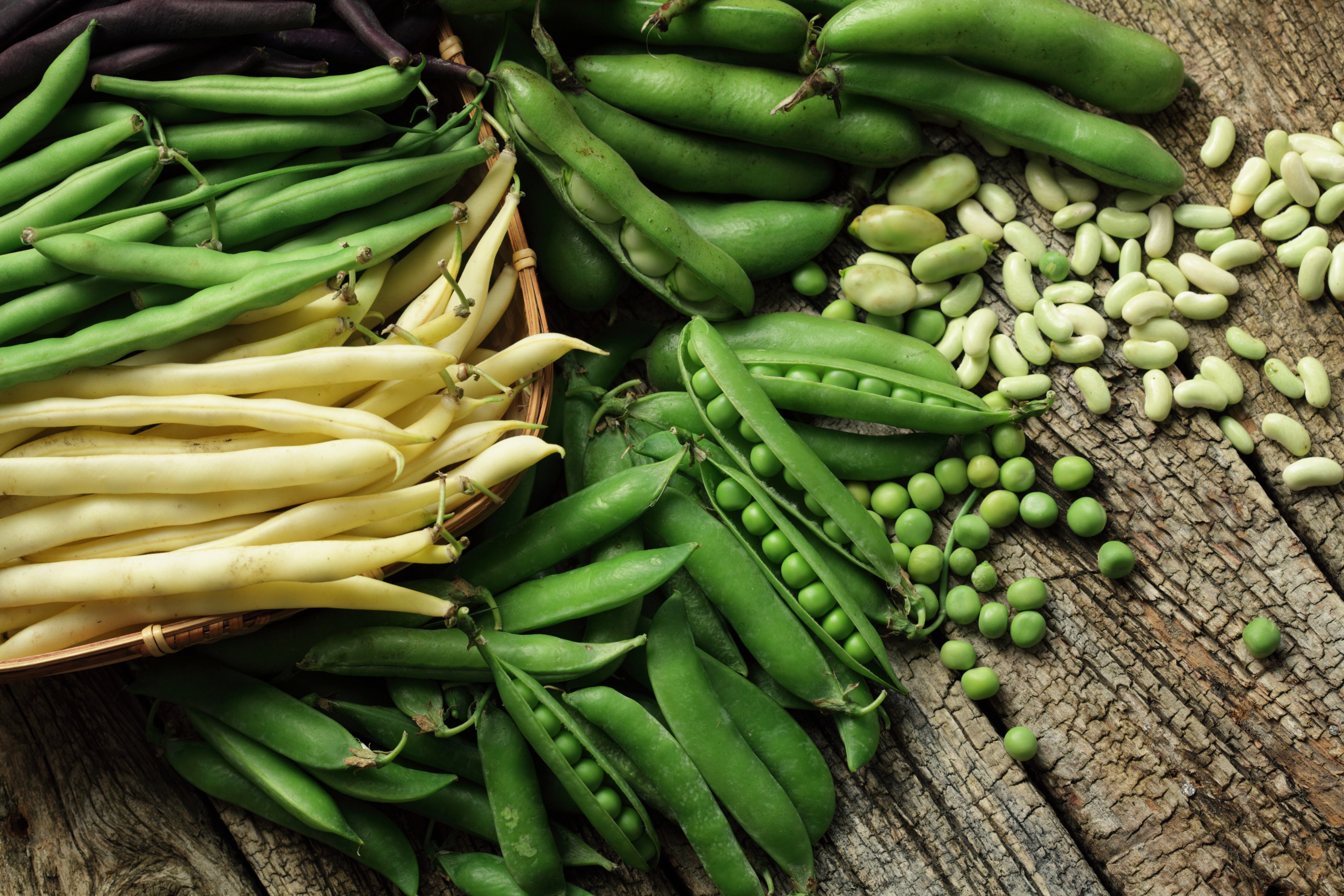 Natural, unprocessed foods such as beans, peas and soybeans are better alternatives to meat and dairy than processed foods such as veggie burgers in terms of health, environmental impact and cost, according to a University of Oxford study. Photo: Shutterstock