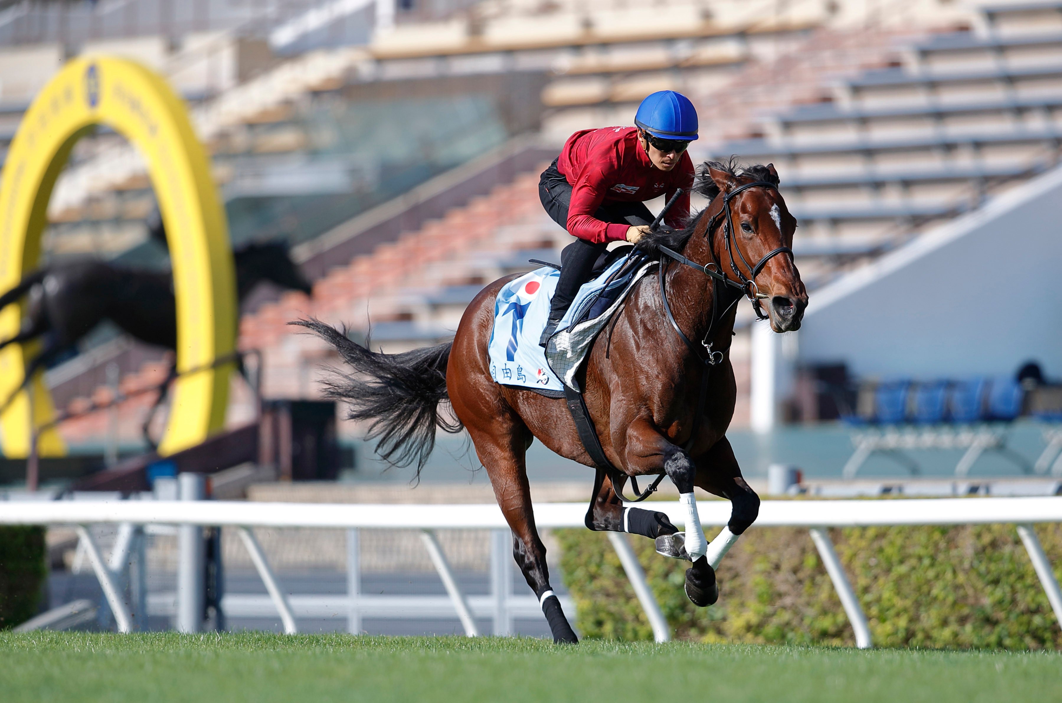 Liberty Island gallops on the Sha Tin turf under Yuga Kawada on Wednesday morning. Photos: Kenneth Chan