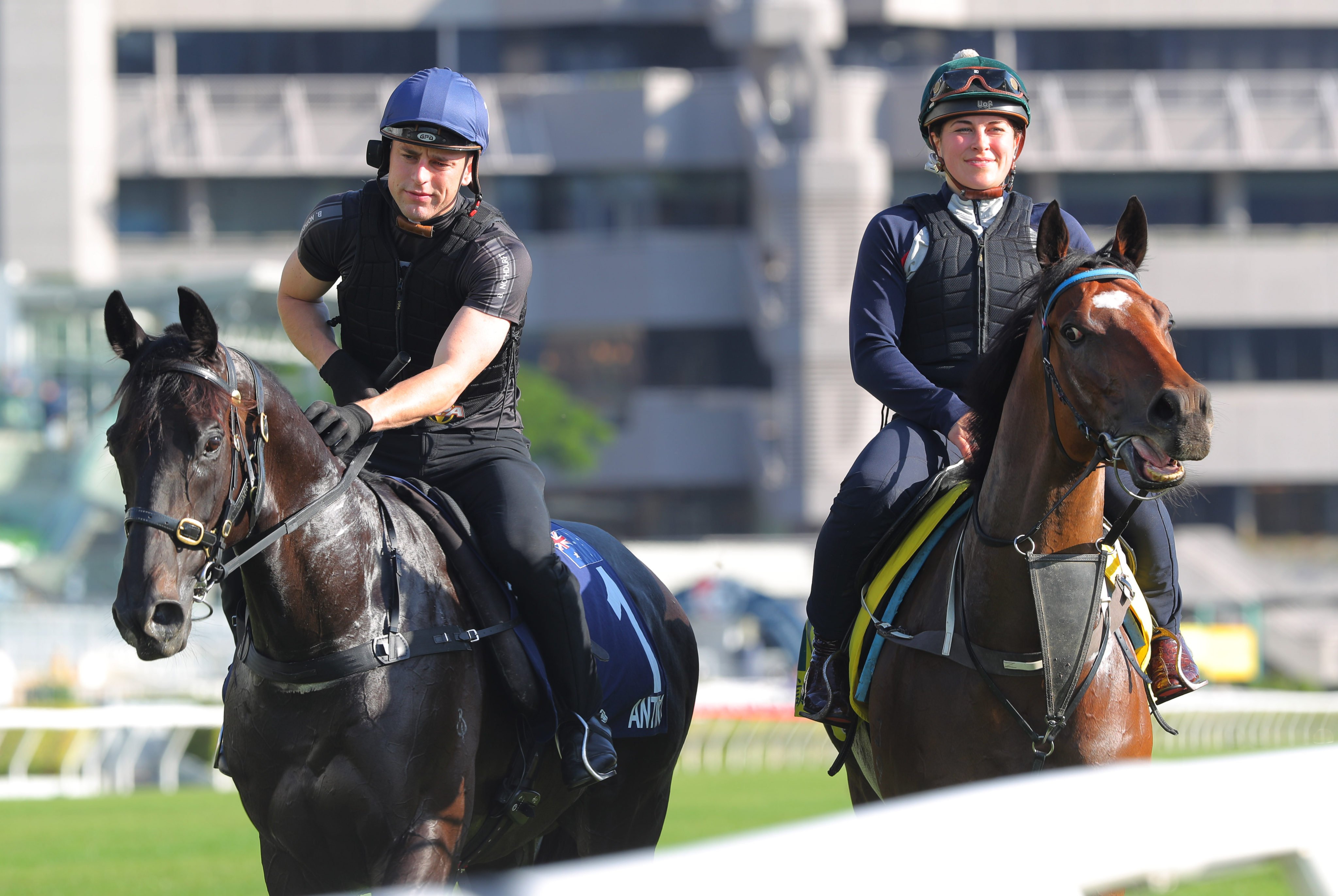 Antino (left) and Recommendation get a feel for the Sha Tin turf on Tuesday morning. Photos: Kenneth Chan