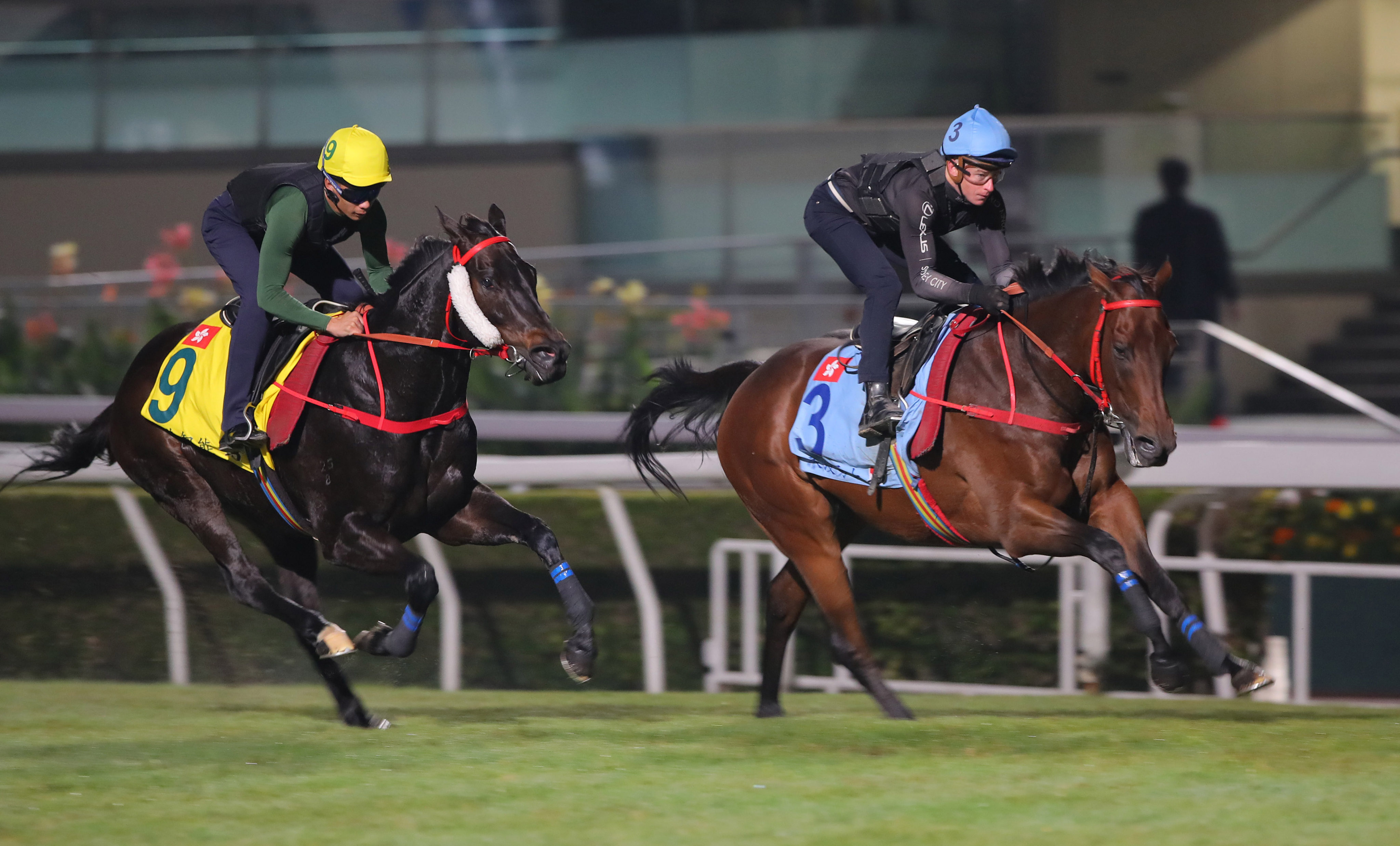 Romantic Warrior (right) gallops on the Sha Tin turf under James McDonald. Photo: Kenneth Chan