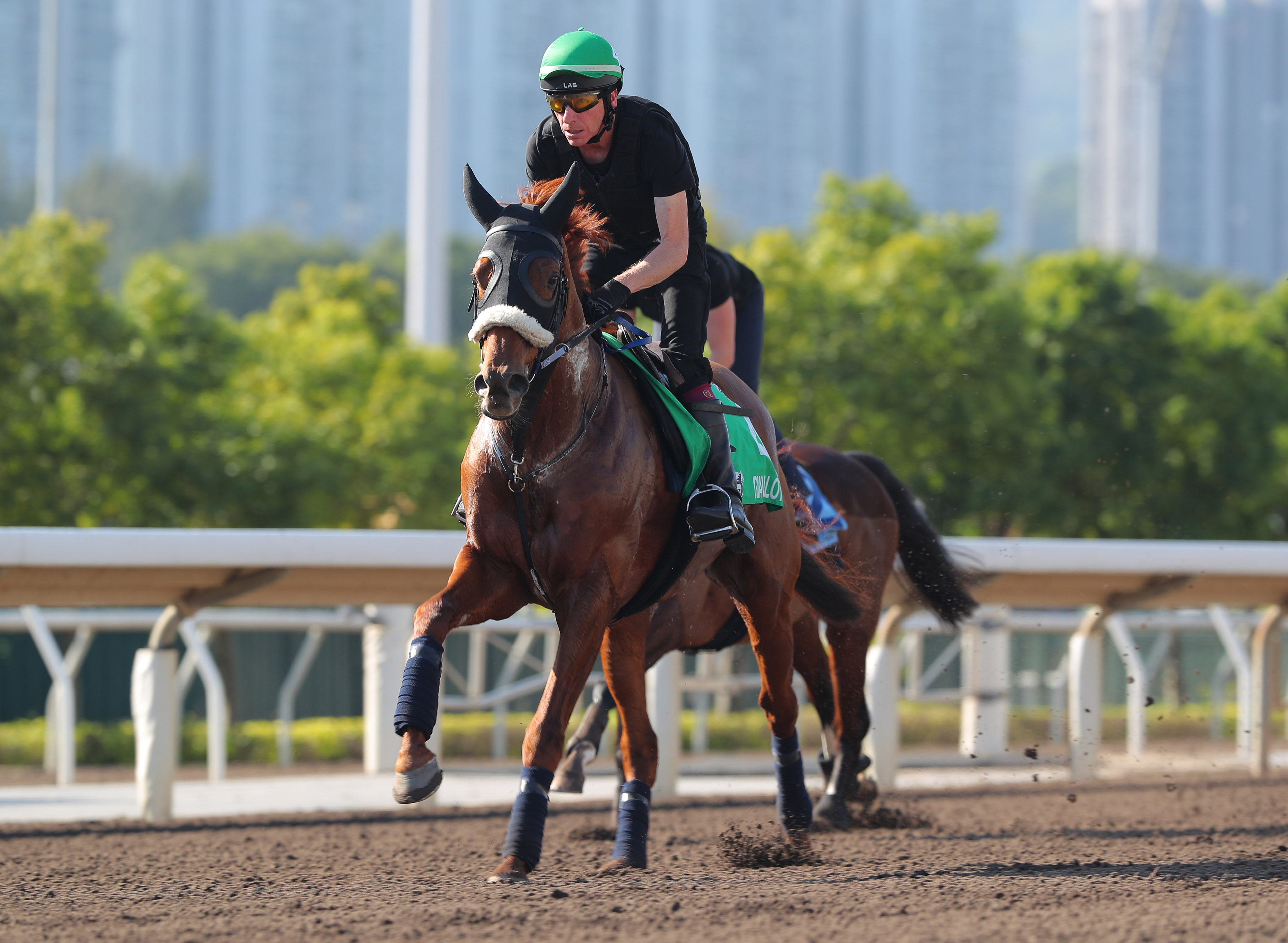 Giavellotto gallops at Sha Tin. Photos: Kenneth Chan