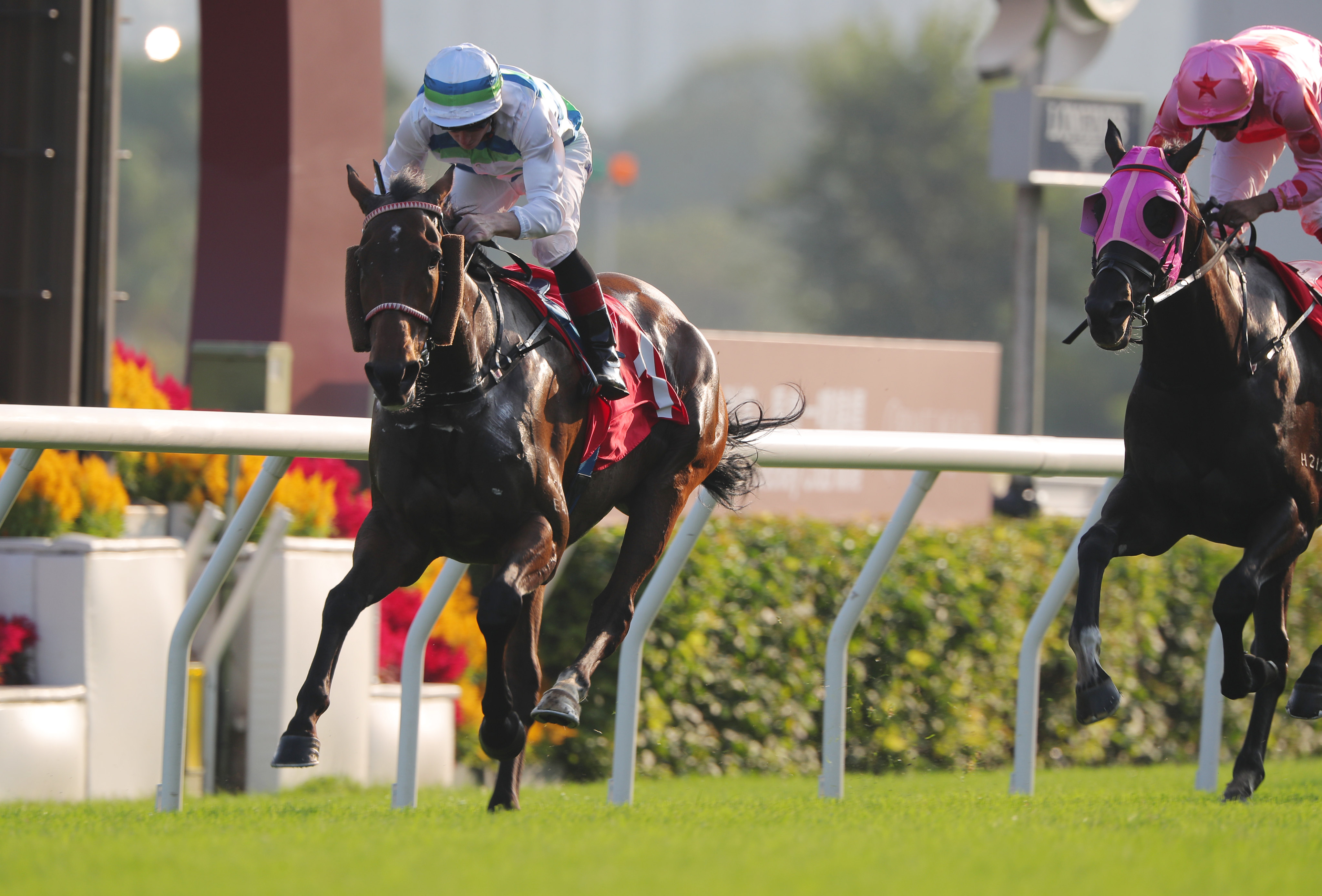 Voyage Bubble has strong claims in Sunday’s Hong Kong Mile. Photo: Kenneth Chan