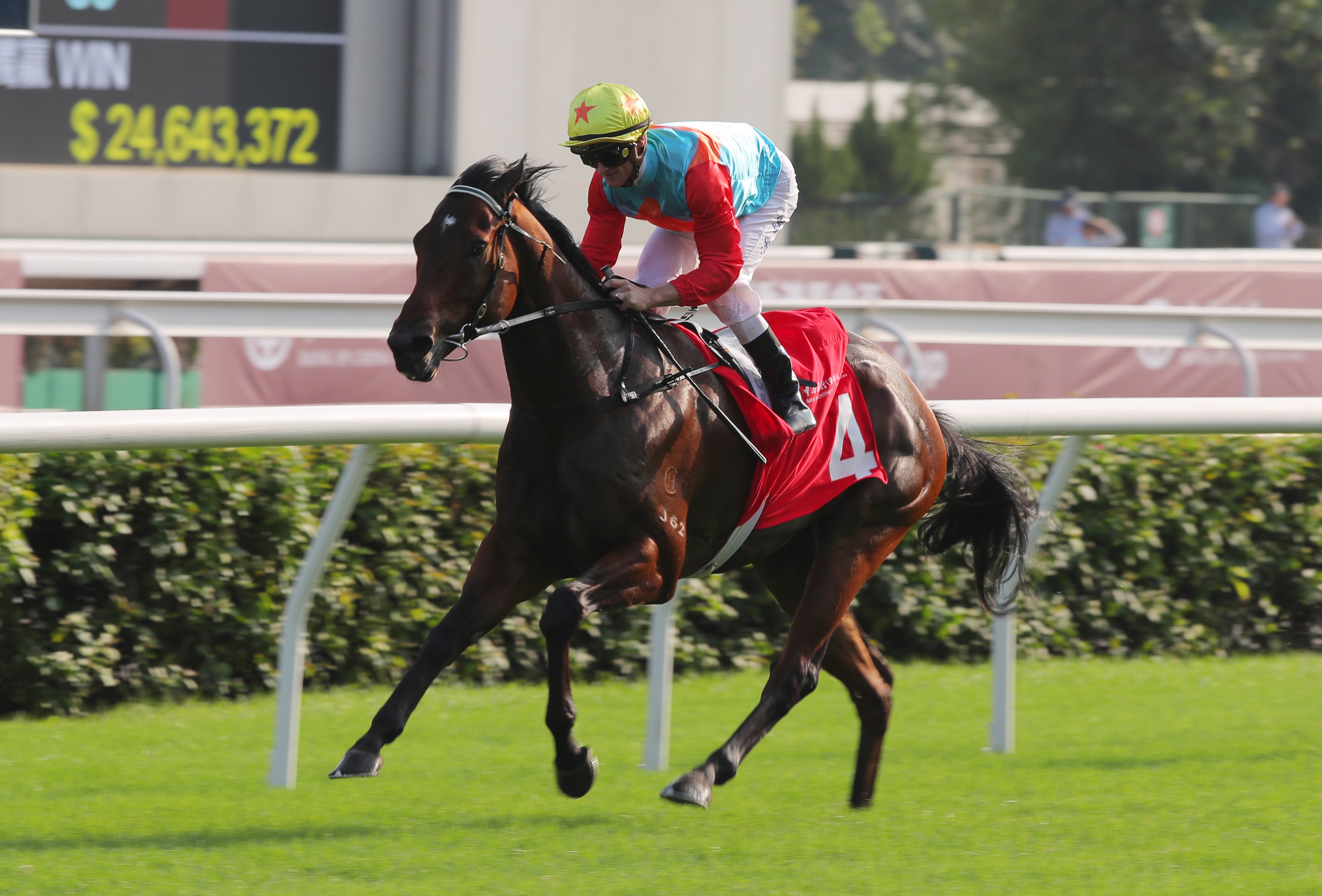 Ka Ying Rising looks hard to beat in the Hong Kong Sprint. Photo: Kenneth Chan