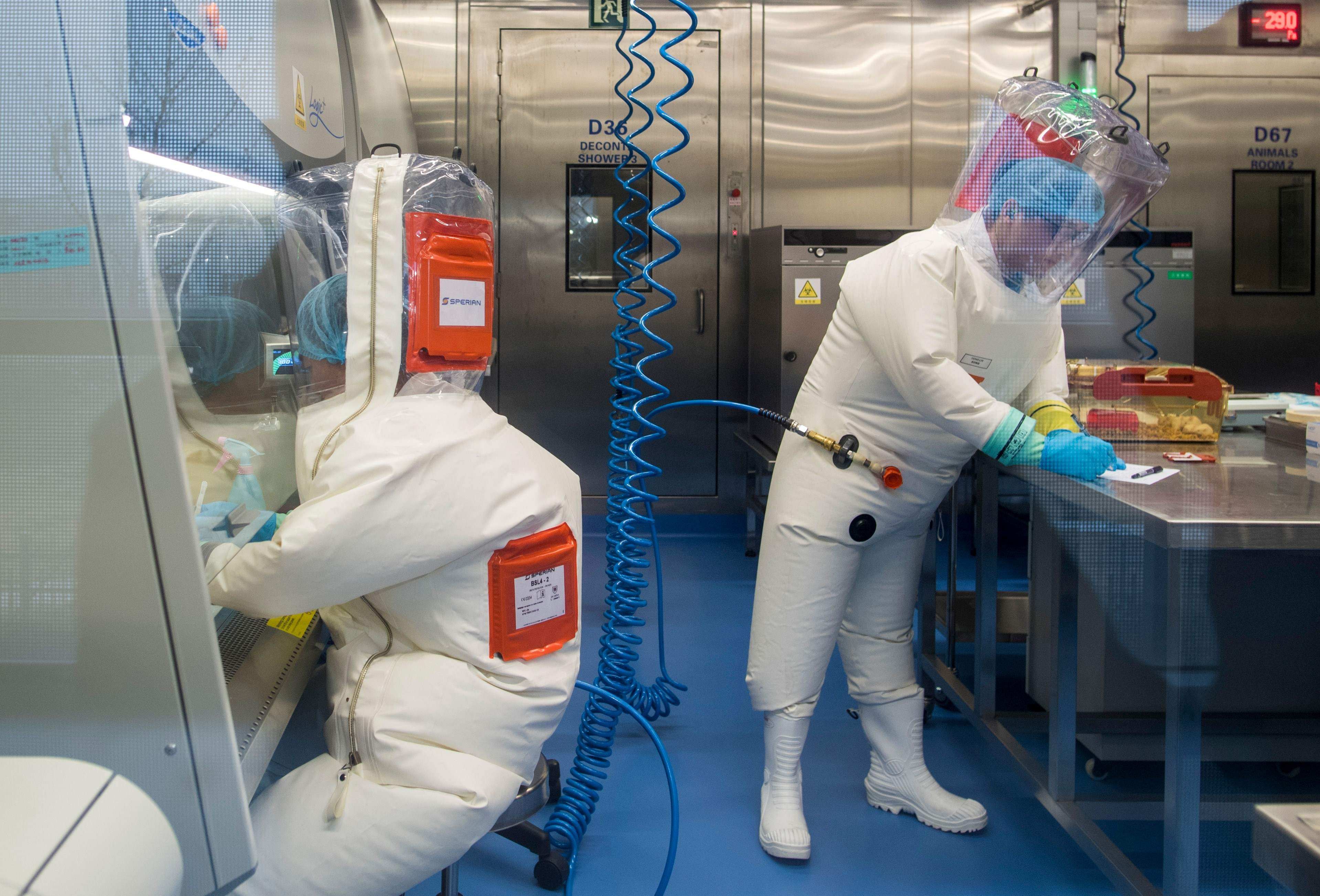 China had significantly more biosafety research collaborations with the US between 2007 and 2023 than with any other country. Photo: AFP