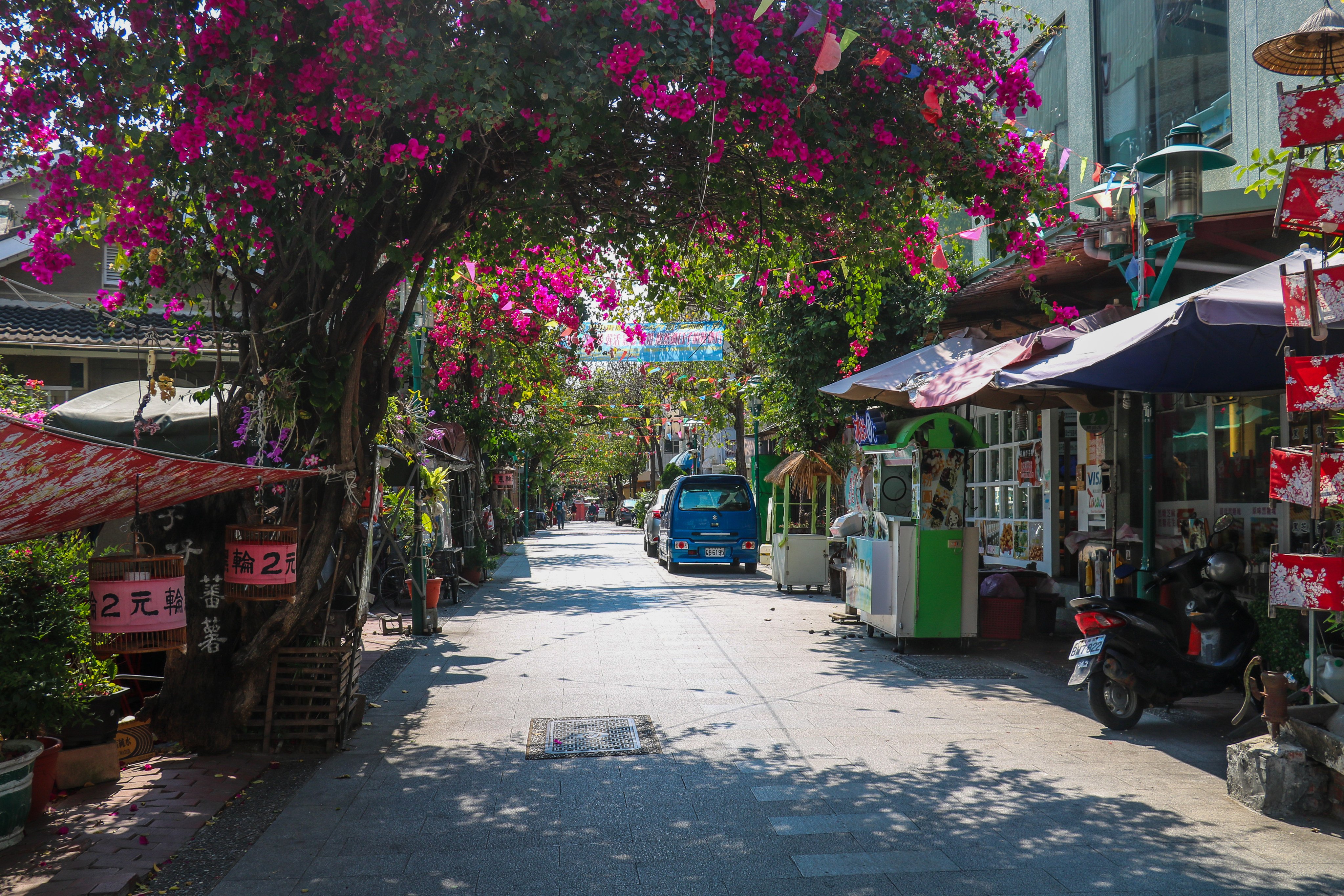 Tainan’s old and narrow streets make it an attractive city to explore on foot. Photo: Thomas Bird

