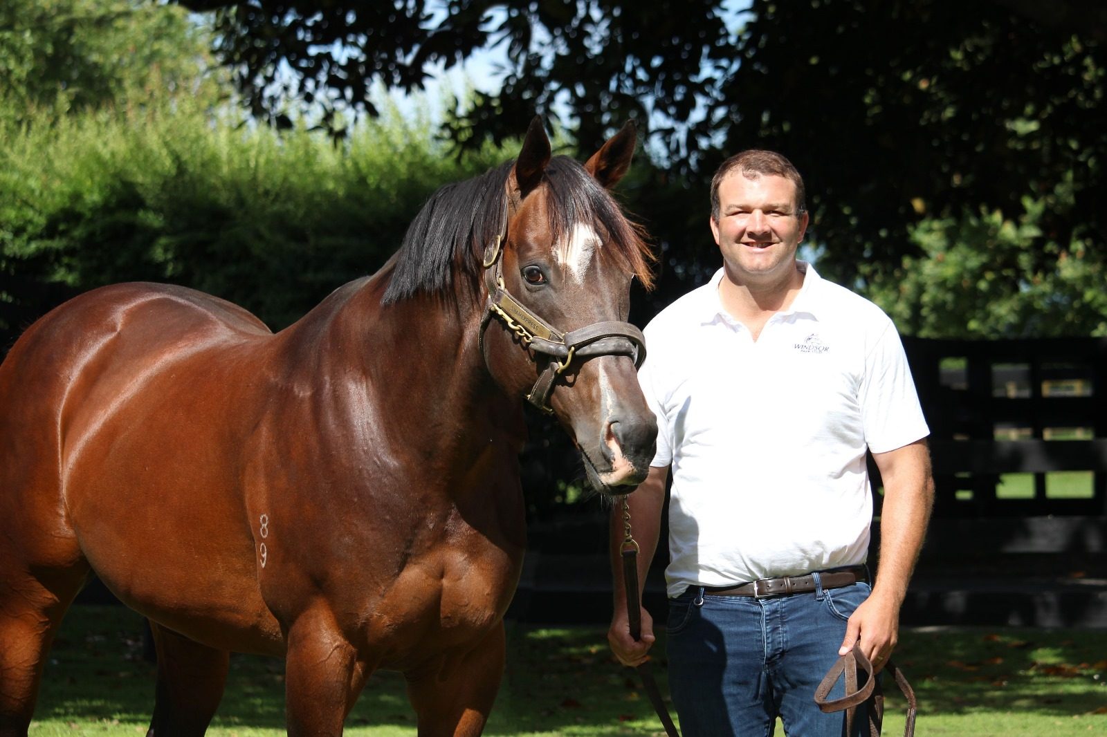 Former Hong Kong rugby captain Nick Hewson with Shamexpress at New Zealand’s Windsor Park Stud. Photo: Handout