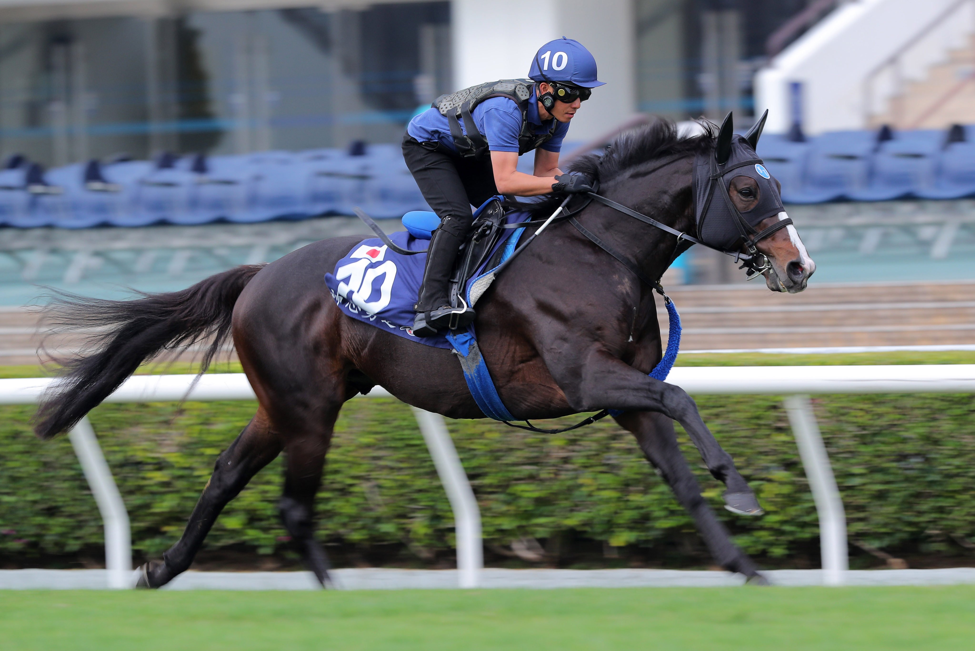 Hong Kong Mile runner Soul Rush gallops on the turf at Sha Tin. Photos: Kenneth Chan