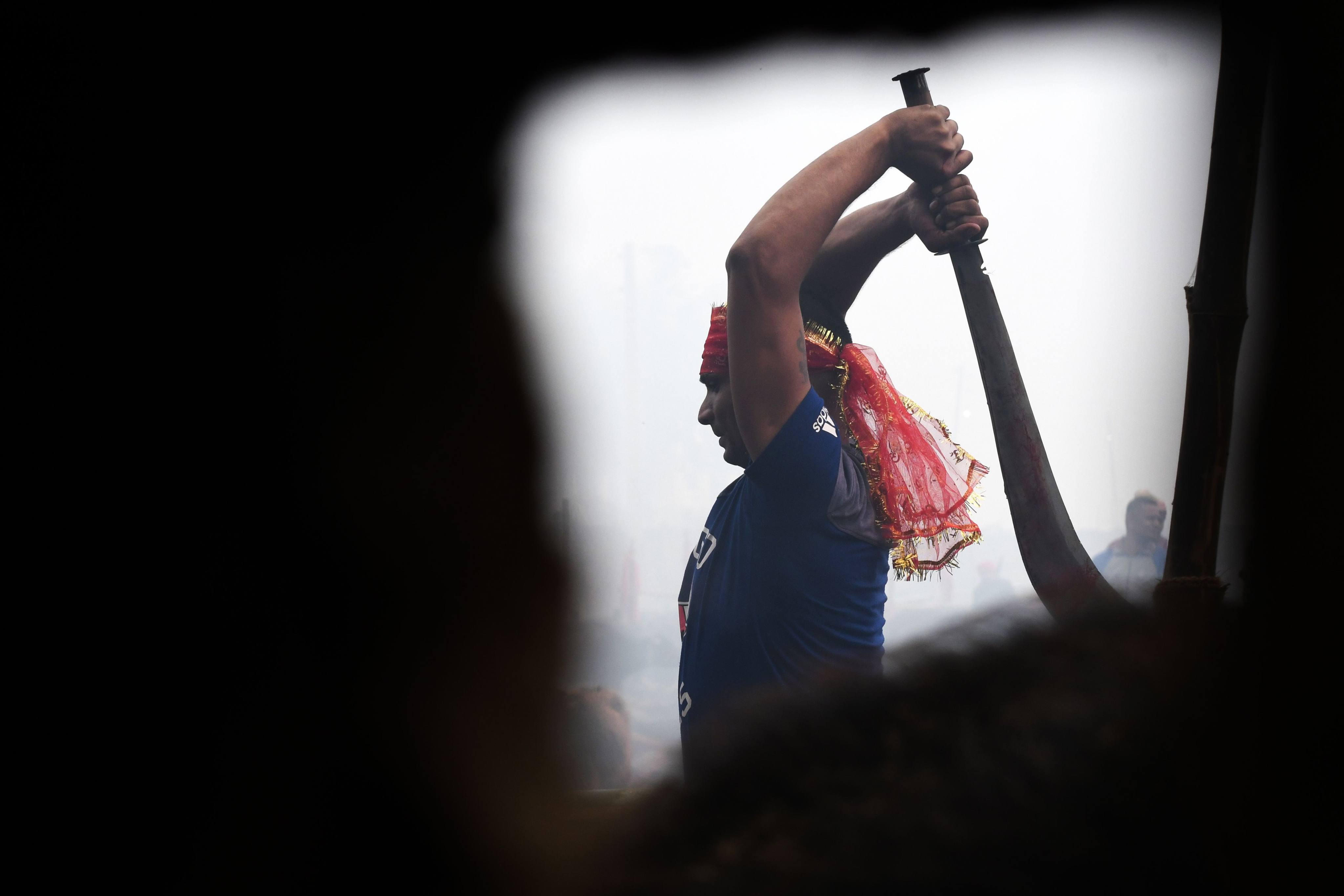 A Hindu devotee prepares to slaughter buffalos as a offering during the 2019 Gadhimai Festival in Bariyarpur, Nepal. Photo: AFP