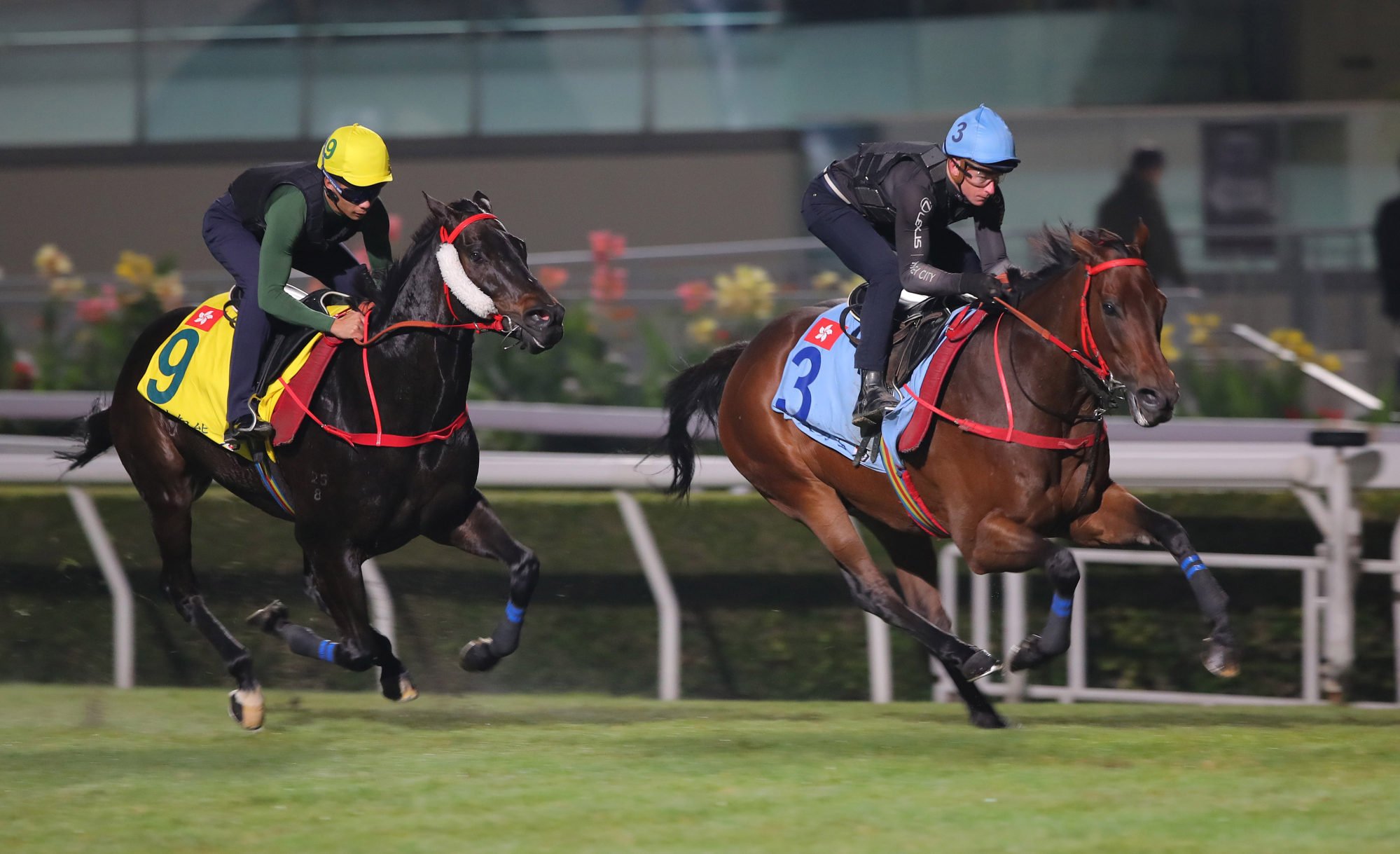 Romantic Warrior (right) under James McDonald works with Victor The Winner at Sha Tin.