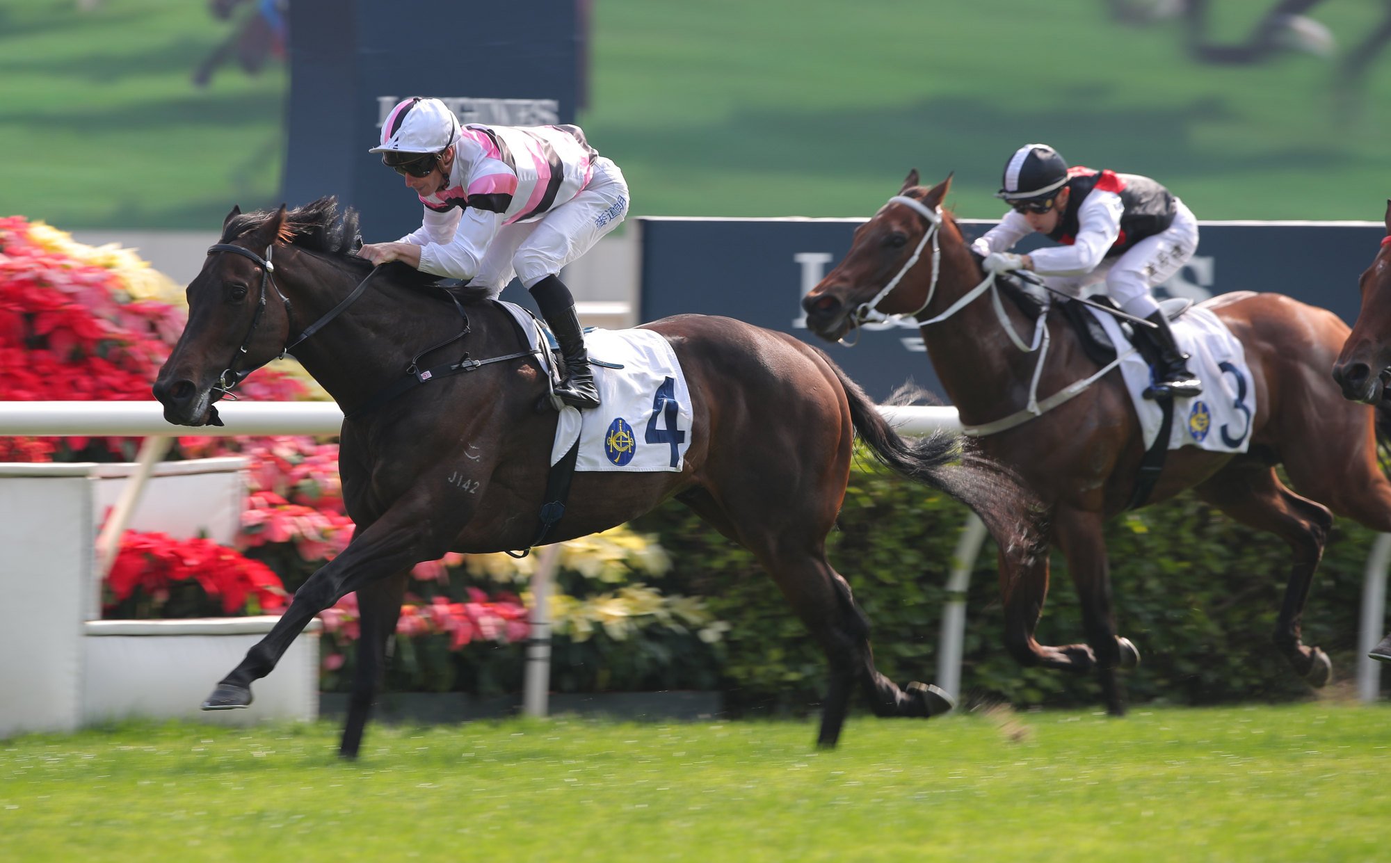 Divano surges clear of his rivals under James McDonald at Sha Tin on Sunday.