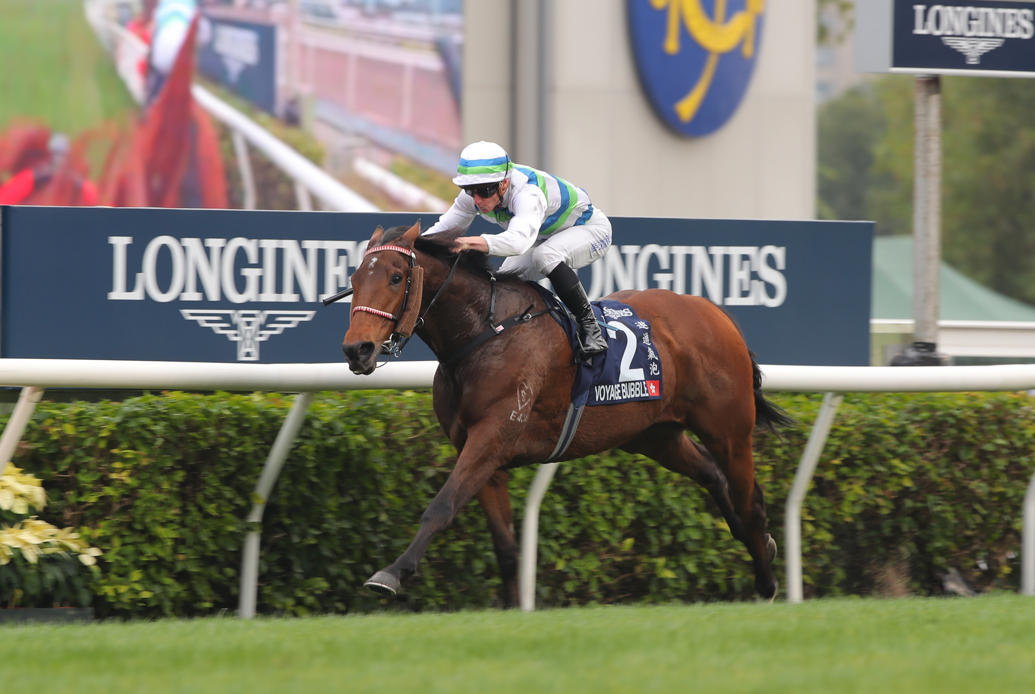 Voyage Bubble salutes in the Group One Hong Kong Mile. Photos: Kenneth Chan