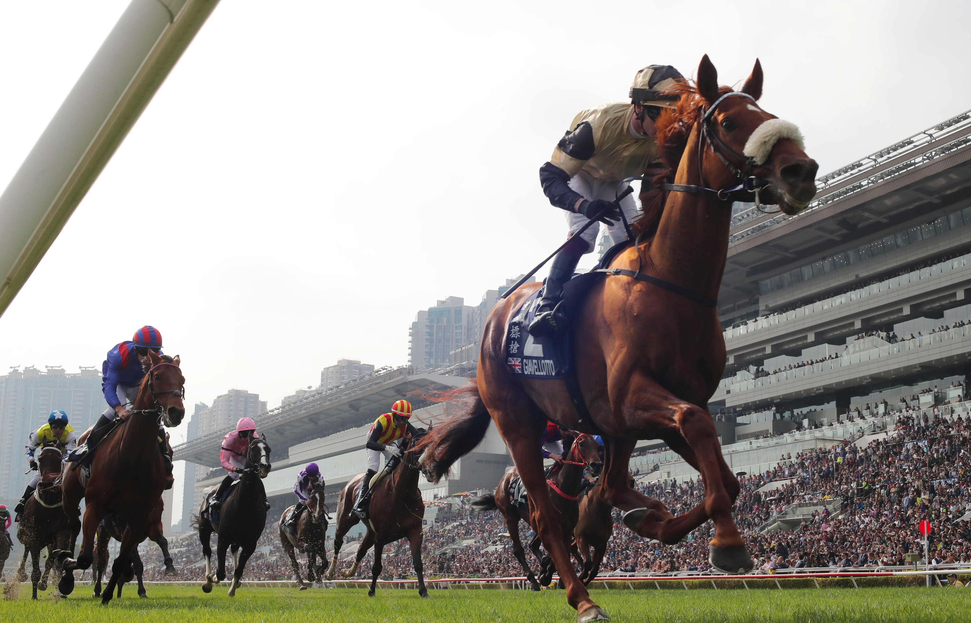 Giavellotto reigns supreme in Sunday’s Group One Longines Hong Kong Vase. Photos: Kenneth Chan