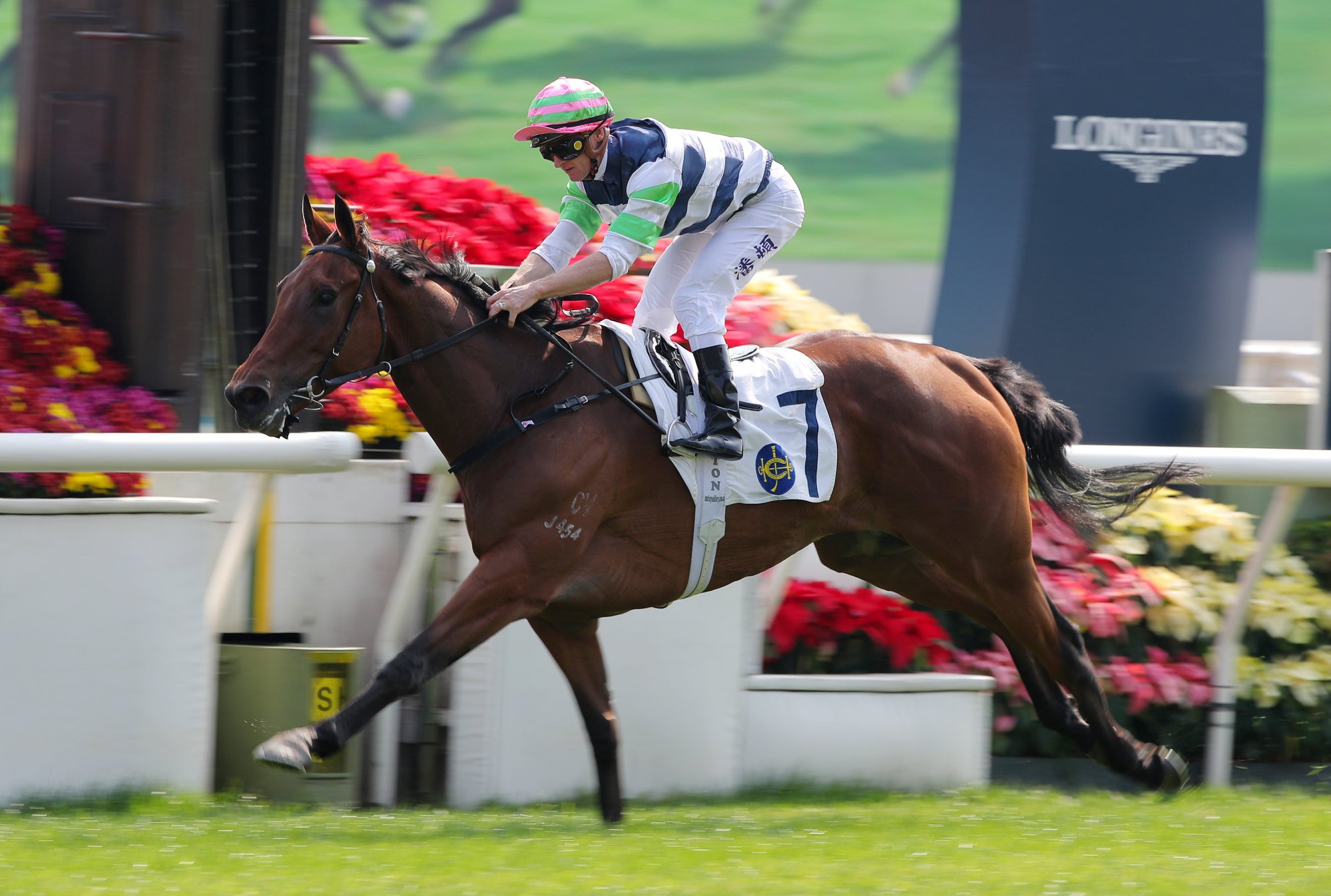 Zac Purton steers Packing Angel to a dominant win at Sha Tin on Sunday.