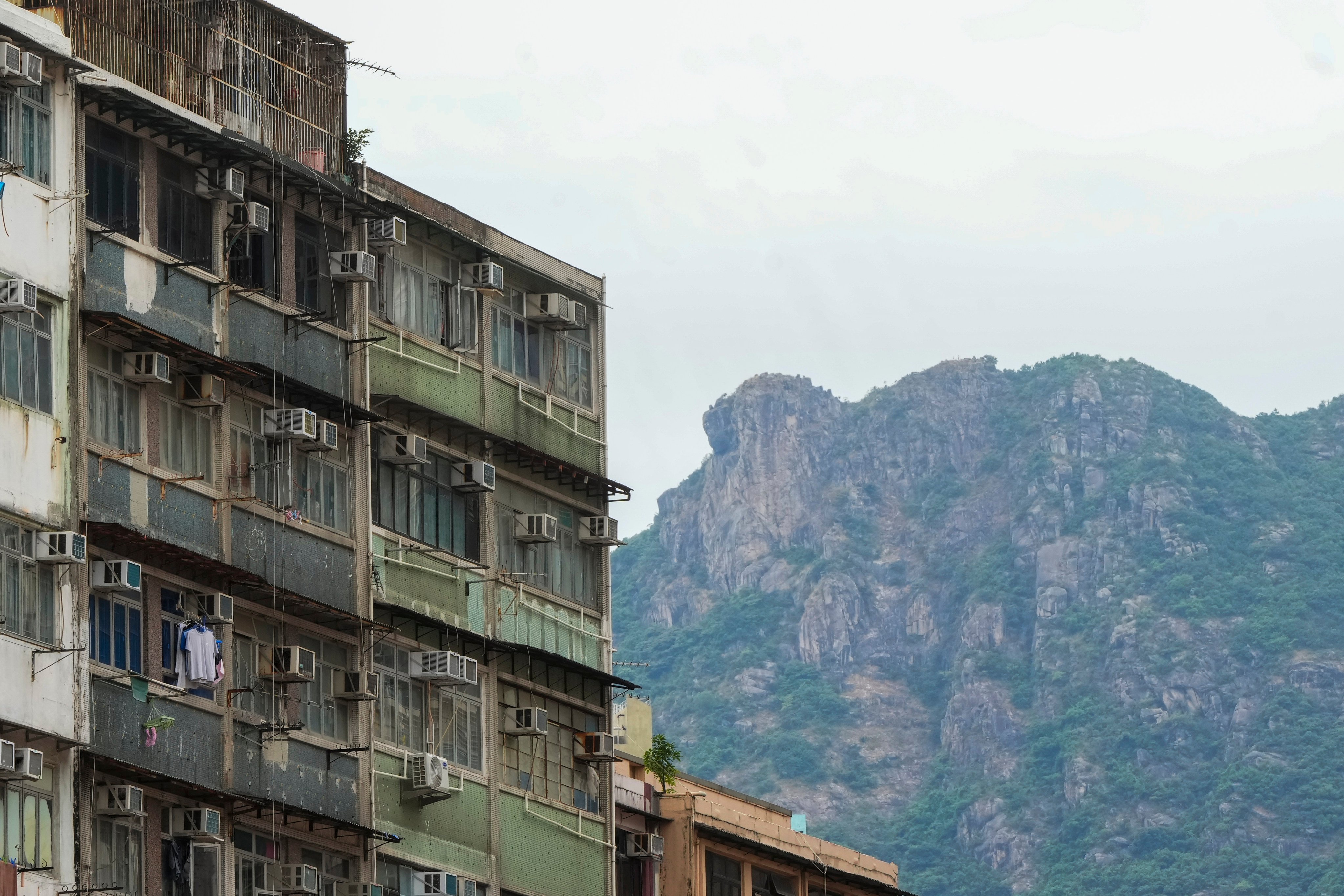 Kowloon City with Lion Rock in the background. Photo: Sam Tsang