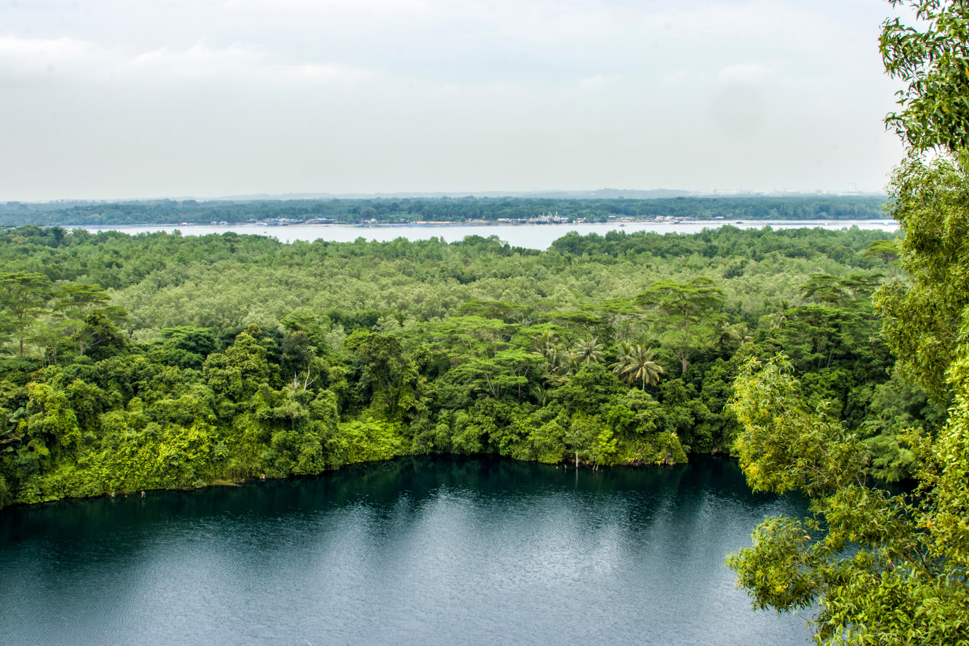 Explore the debate on preserving Pulau Ubin’s natural beauty amidst Singapore’s urban expansion, balancing ecological protection with development. Photo: Shutterstock 