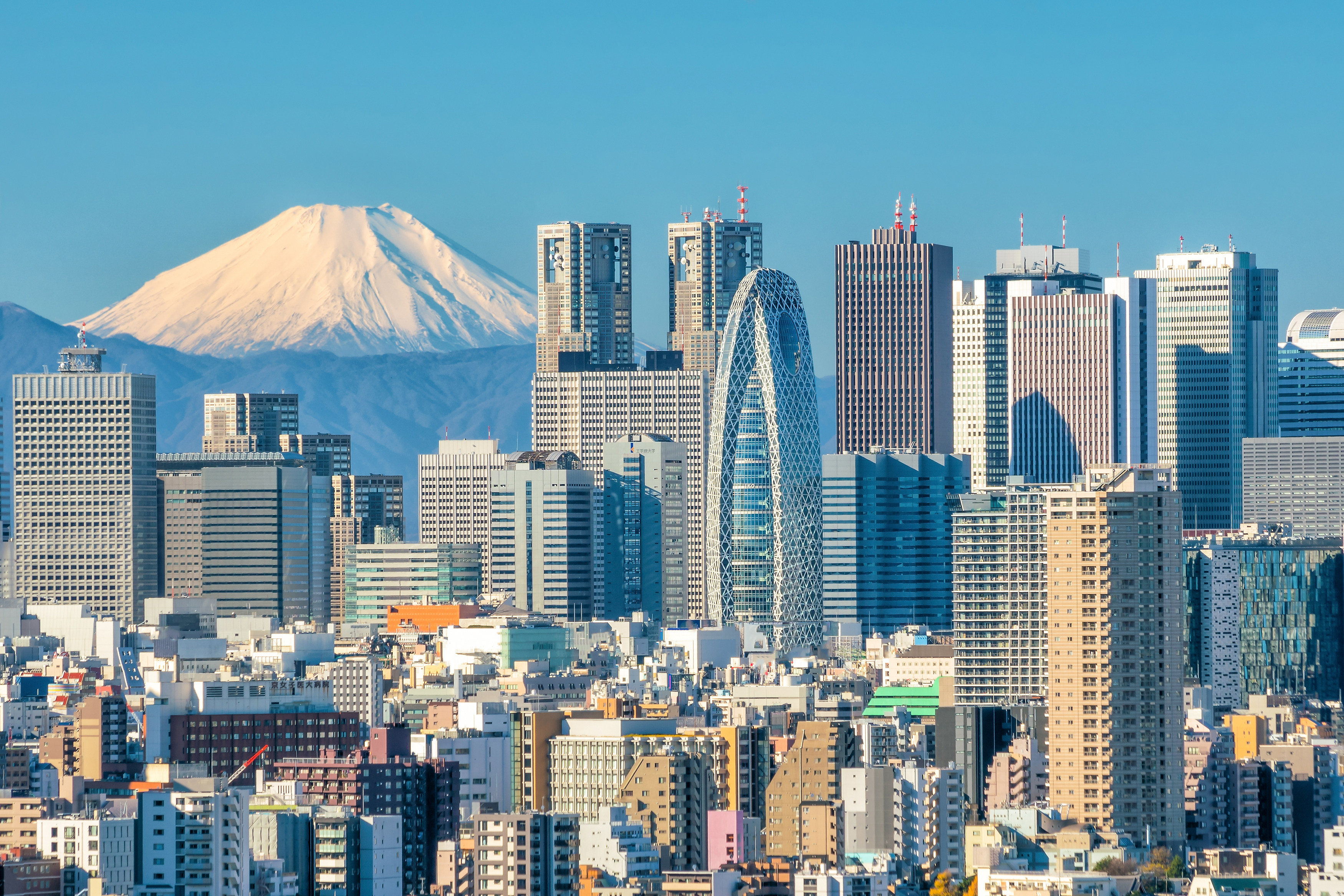 Tokyo. The UN Human Rights Council report has been met with outrage in Japan. Photo: Shutterstock