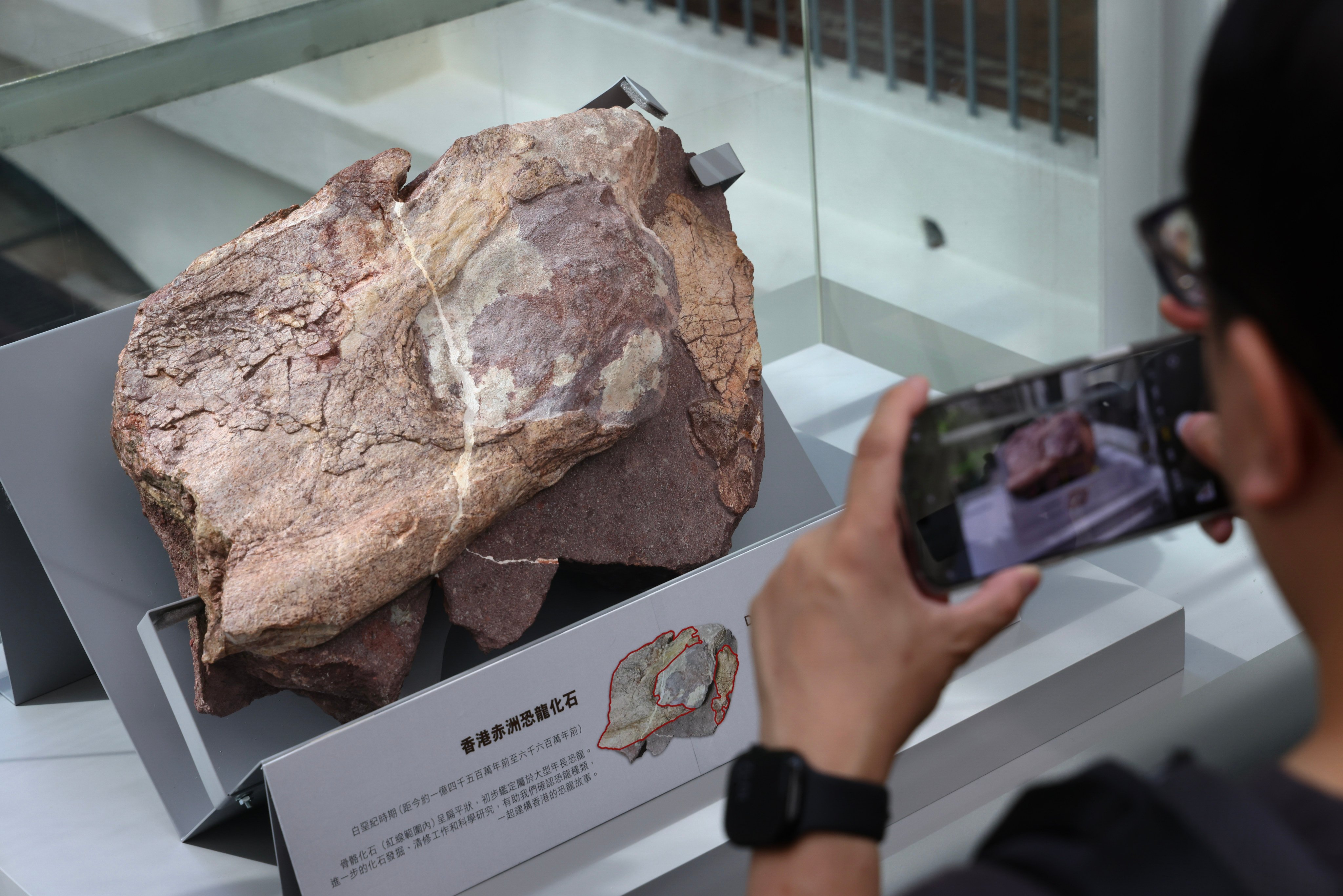 Port Island was earlier closed off to allow experts to excavate more dinosaur fossils. Photo: Dickson Lee