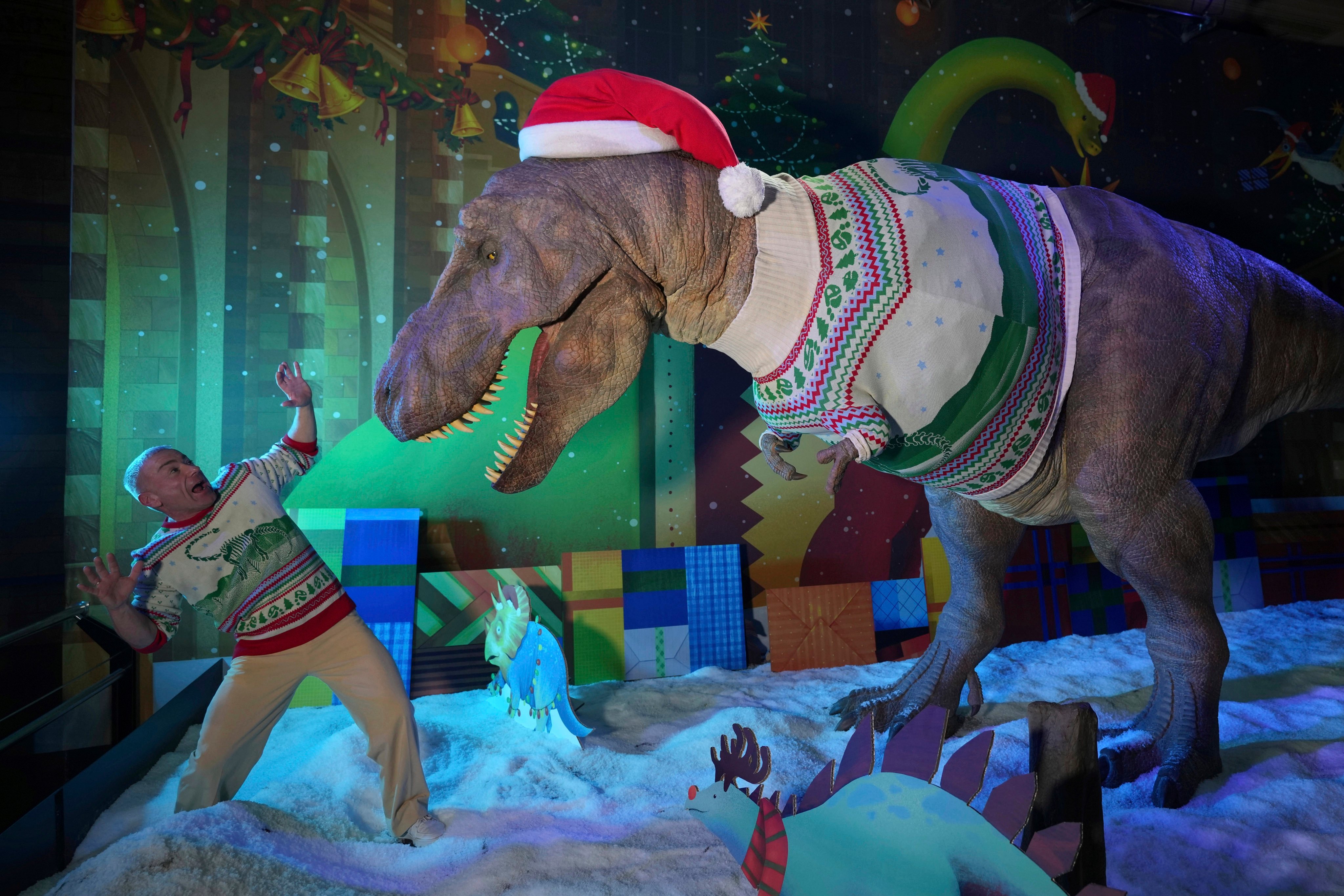 The Natural History Museum’s animatronic T. rex unveiled its 2024 Christmas jumper. Photo: AP