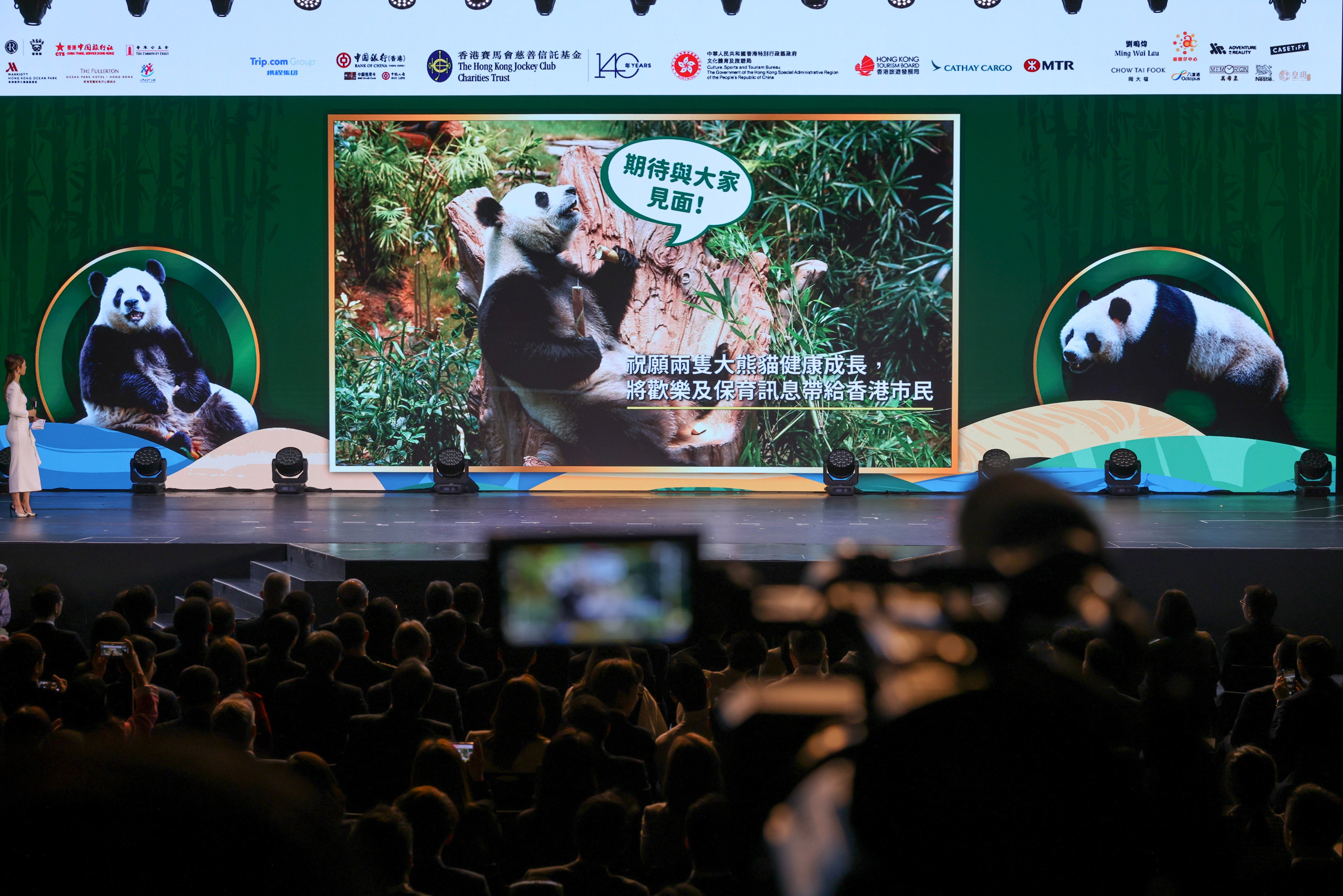 Giant Panda Greeting Ceremony at Ocean Park. Photo: Nora Tam