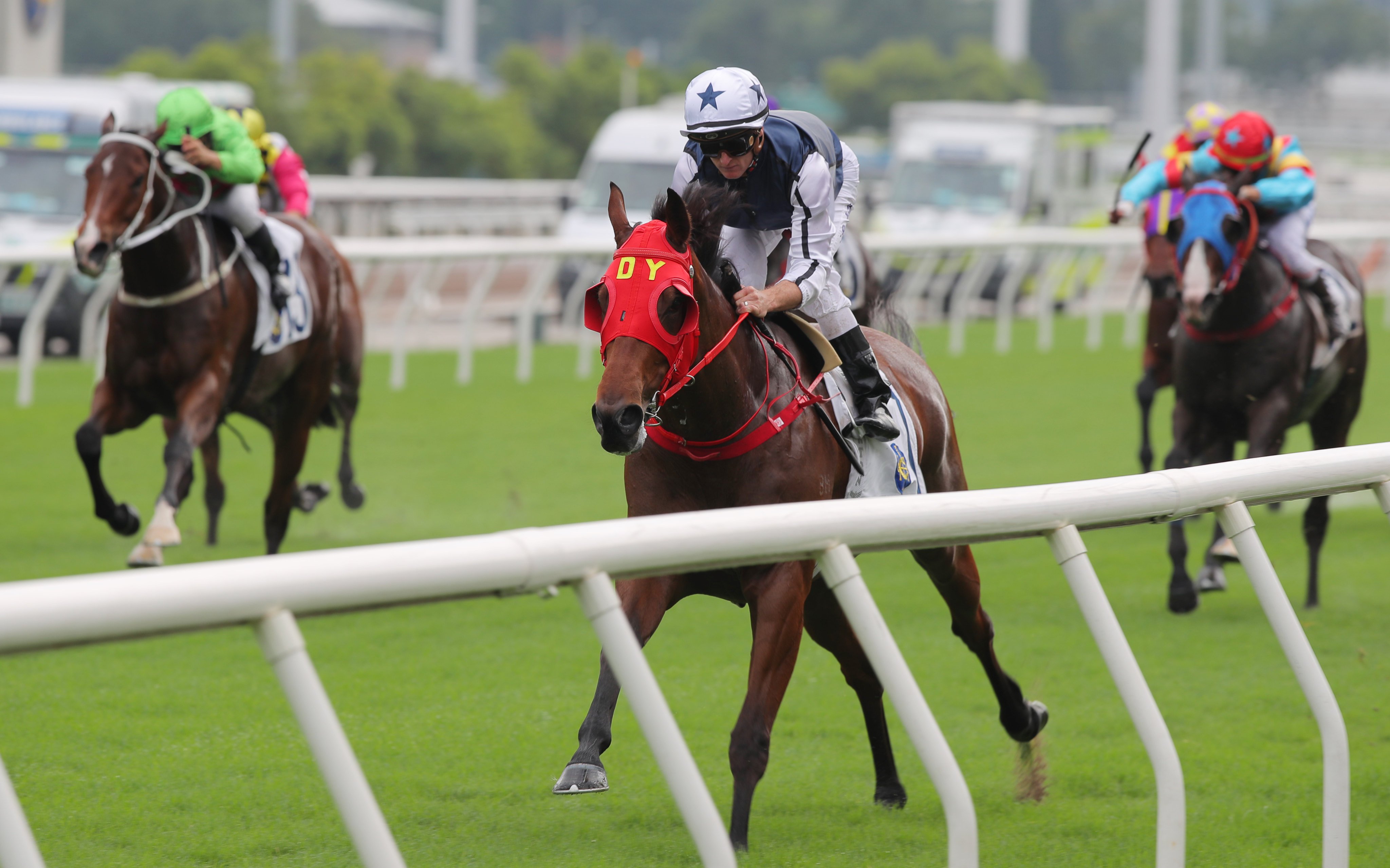 Fast Network cruises to victory under Zac Purton last month. Photos: Kenneth Chan