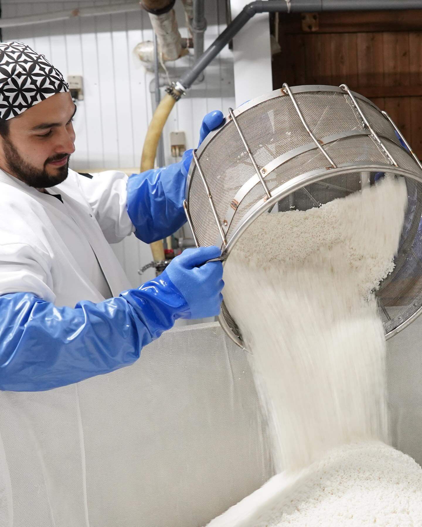 A tourist takes part in making koji, a rice mould that turns starch into sugar, part of the process of making sake, in Nagano, central Japan. Photo: Instagram/@mysakejourney_uk