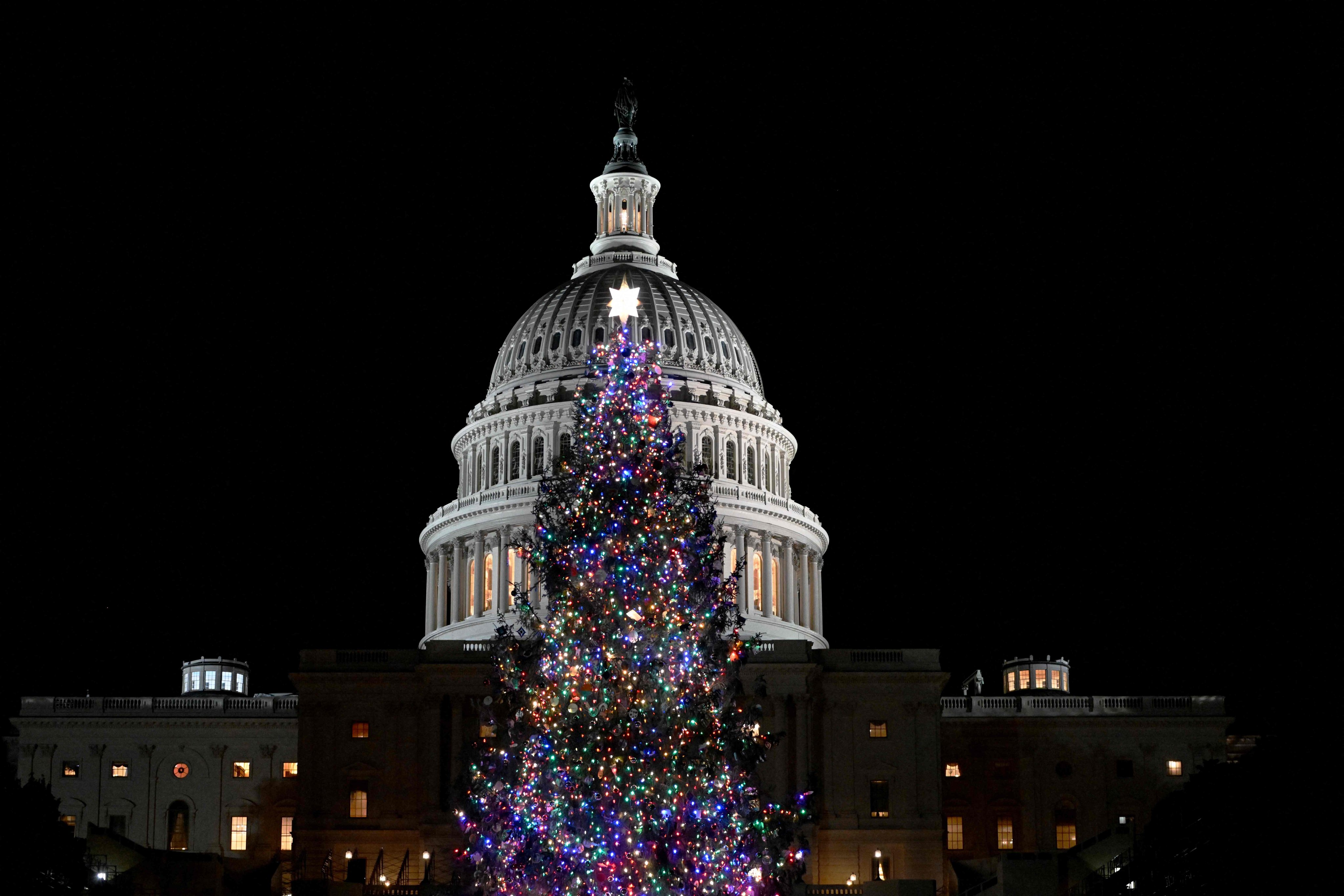 The US Capitol Christmas Tree in Washington. Photo: AFP